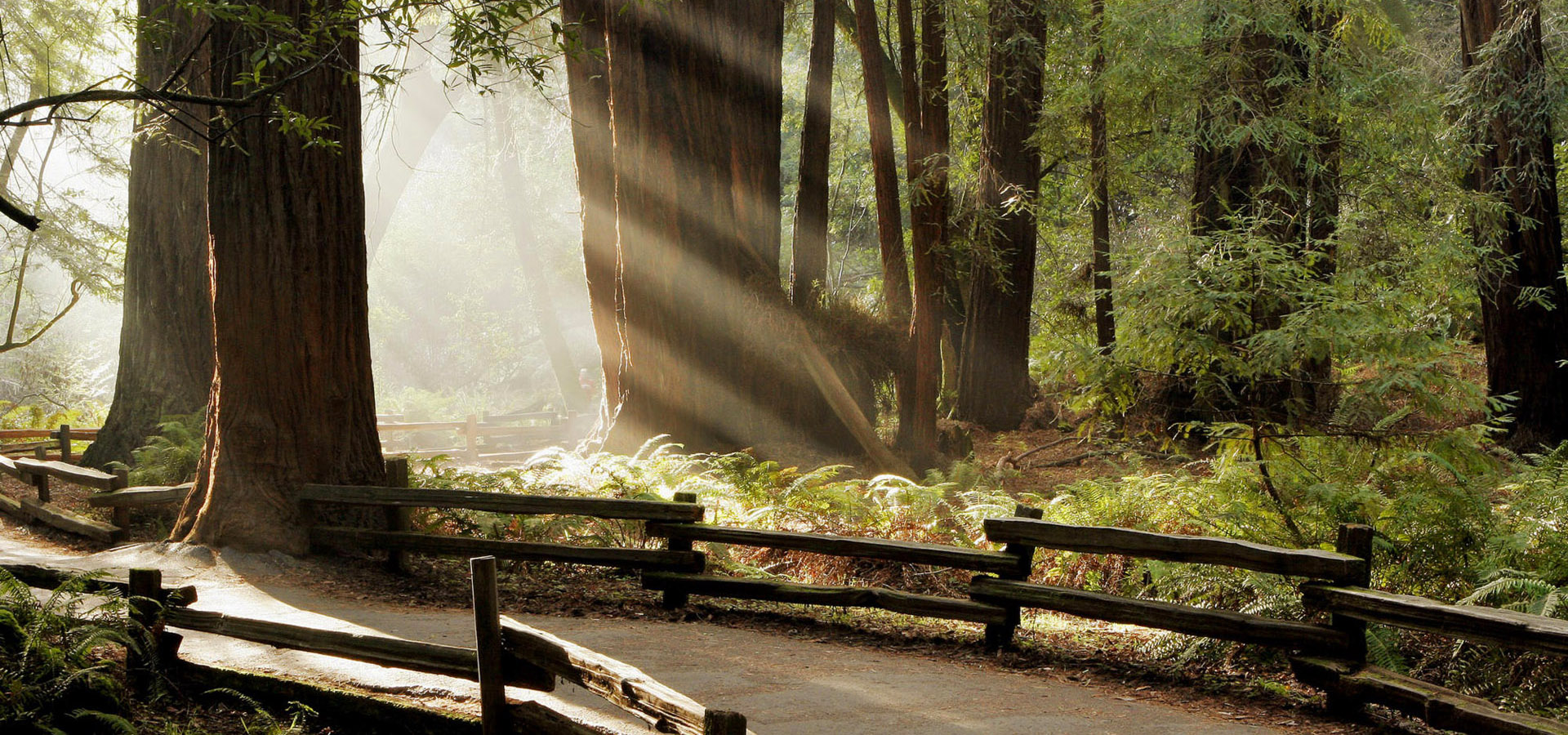 超宽,全景,风景,自然风光,mlgb,儿童桌面专用