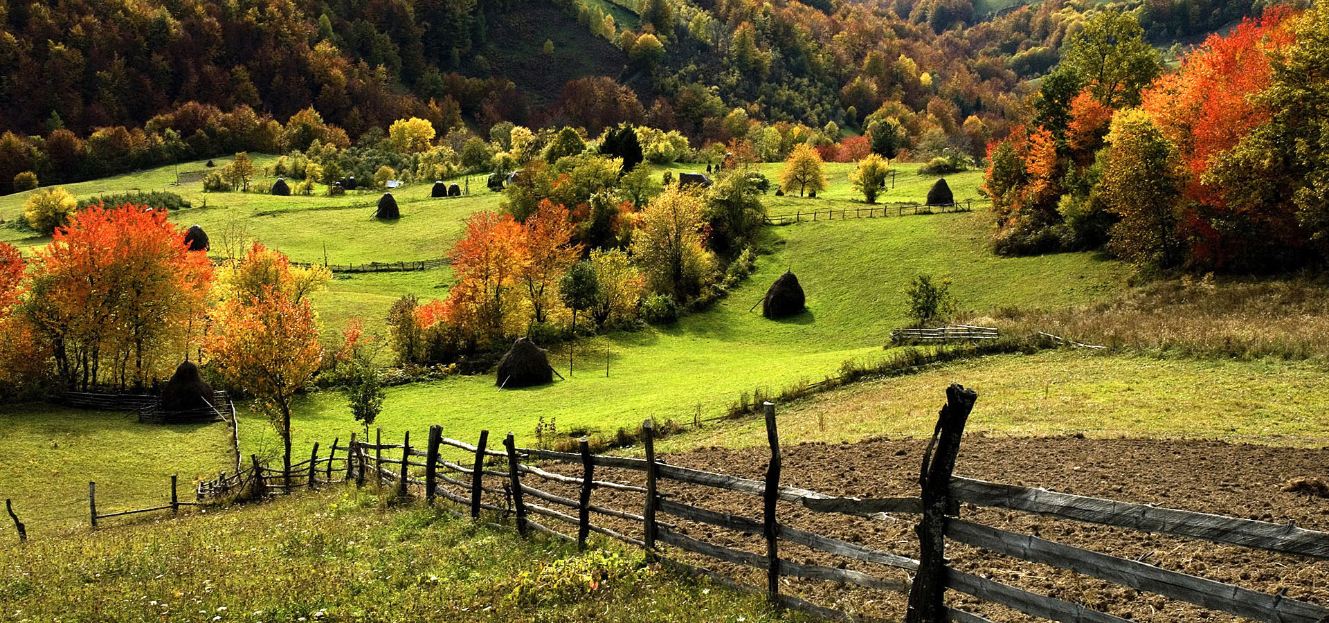 超宽,全景,风景,自然风光,mlgb,儿童桌面专用