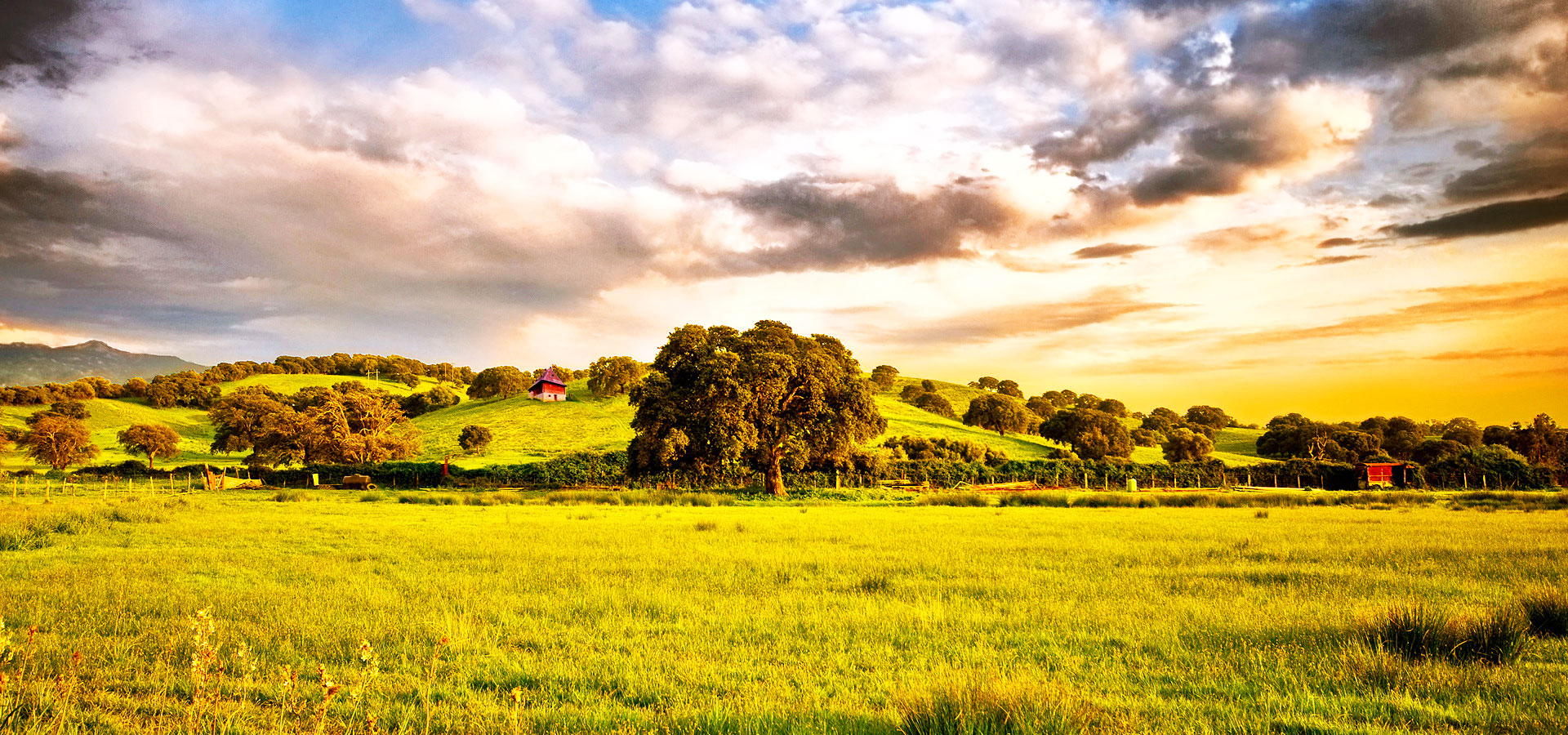 风景,秋意正浓,儿童桌面专用