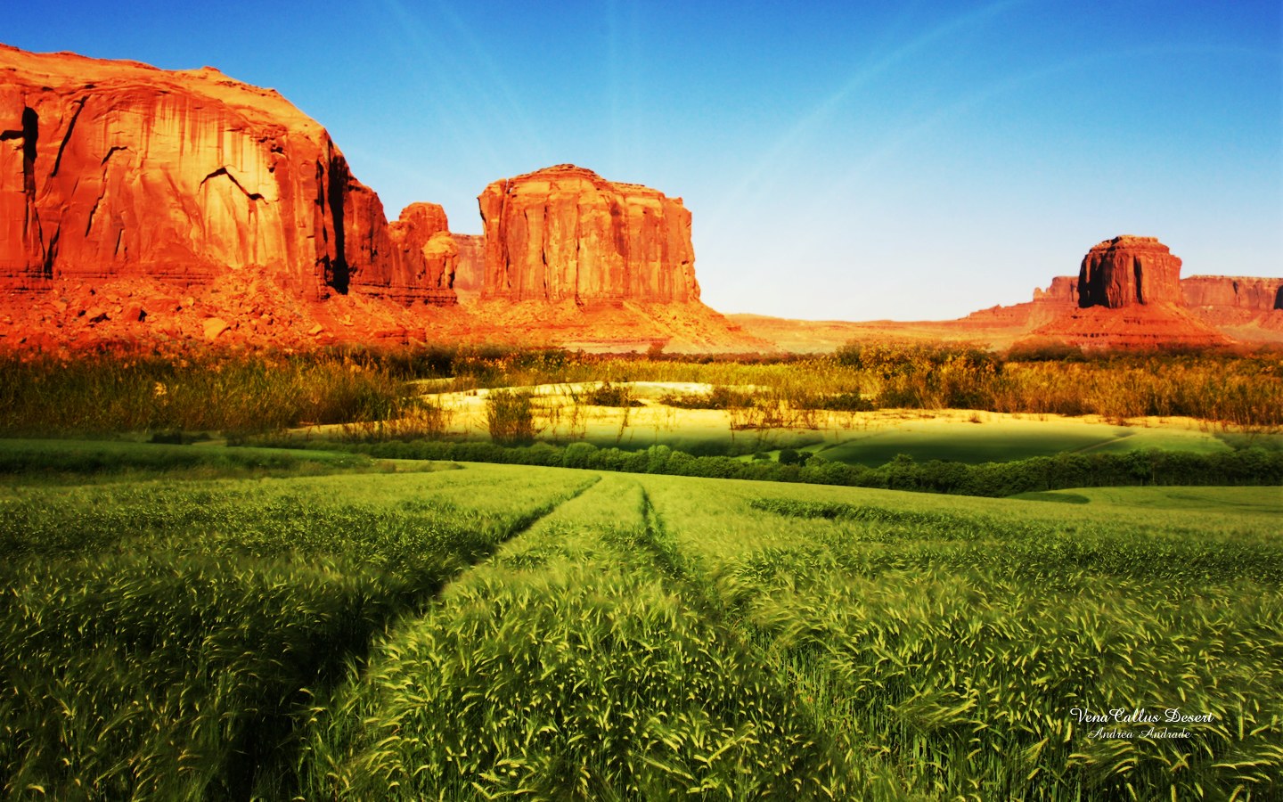 超宽,全景,风景,自然风光,mlgb,儿童桌面专用
