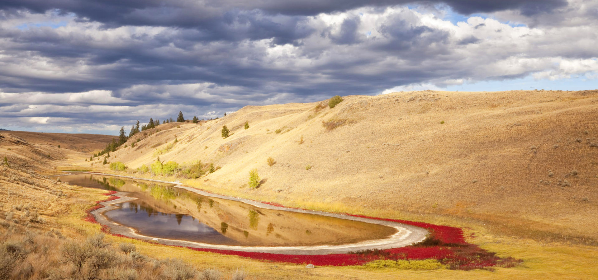 风景,秋意正浓,儿童桌面专用