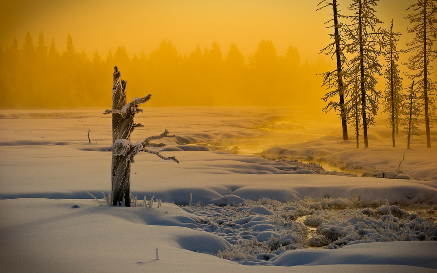 超宽,全景,风景,冰天雪地,mlgb,儿童桌面专用