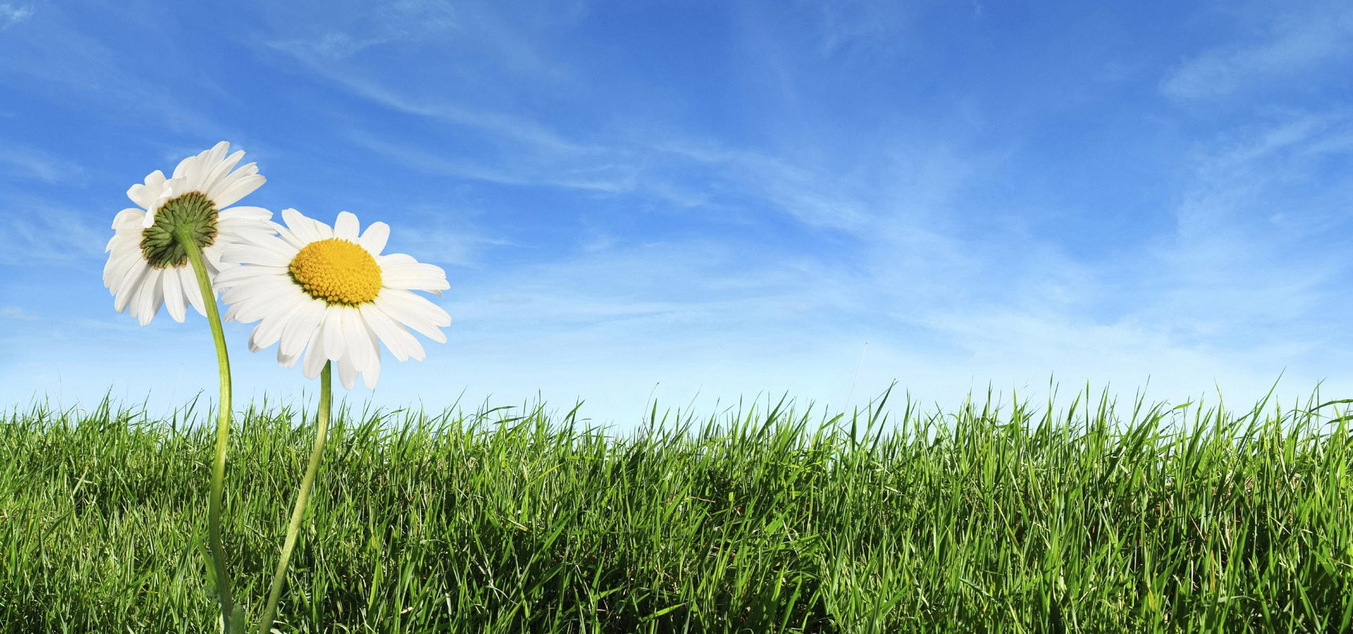 超宽,全景,风景,春意盎然,mlgb,儿童桌面专用