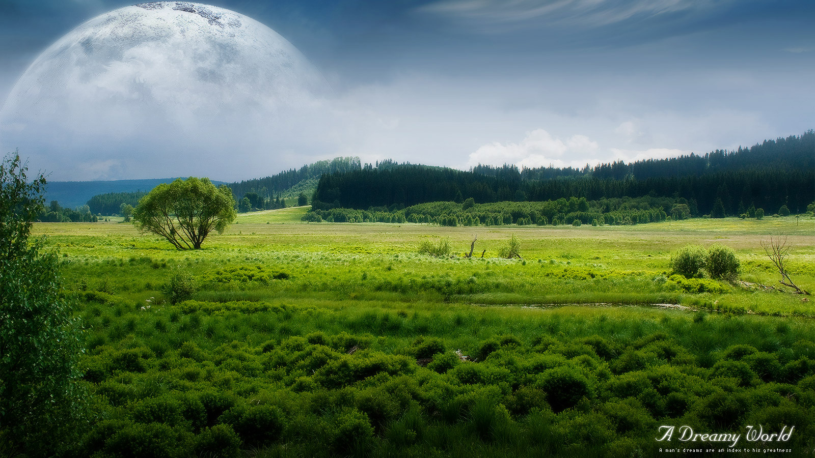 小清新,护眼壁纸,儿童桌面专用