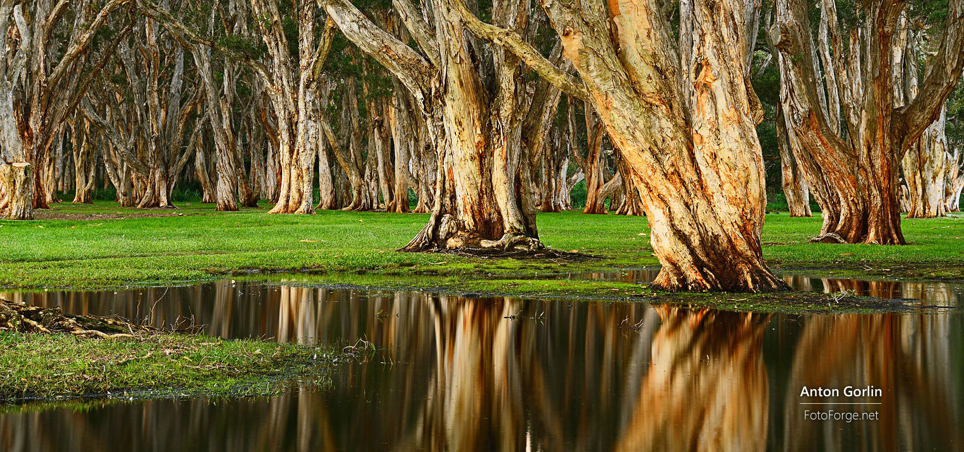超宽,全景,风景,自然风光,mlgb,儿童桌面专用