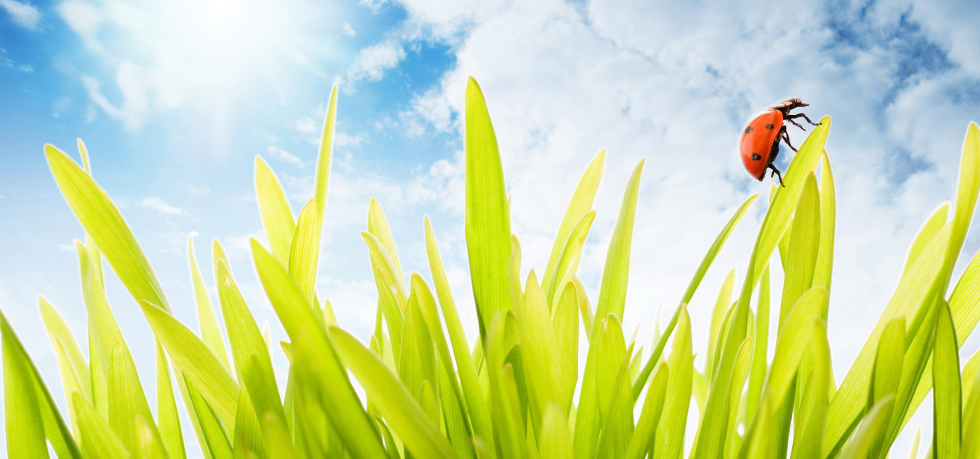 超宽,全景,风景,蓝天白云,春意盎然,mlgb,儿童桌面专用