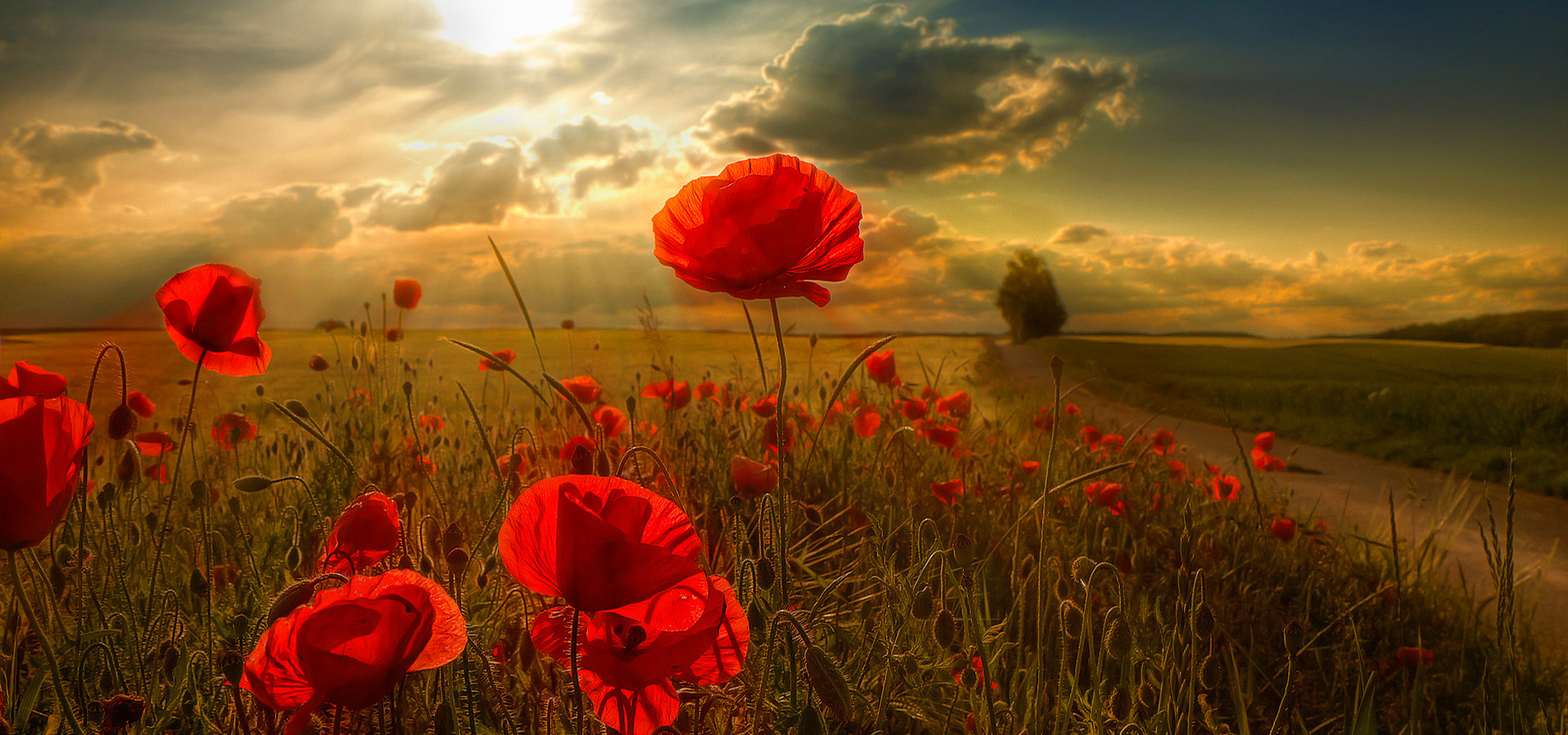 超宽,全景,风景,春意盎然,mlgb,儿童桌面专用