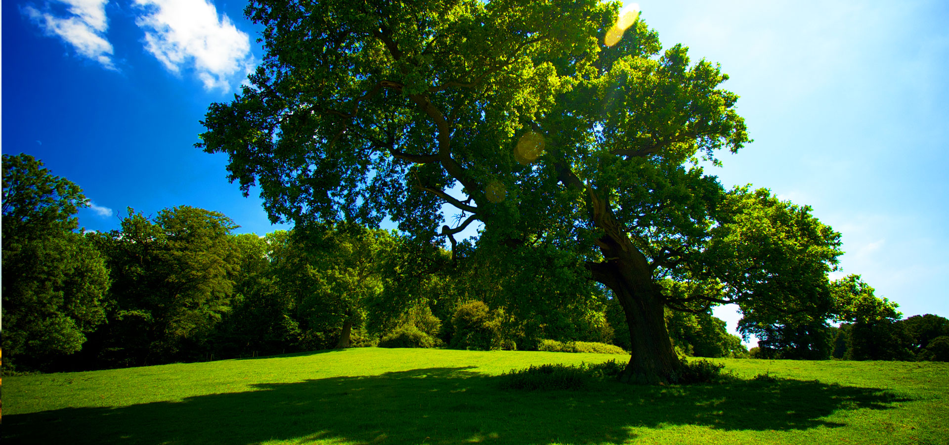 超宽,全景,风景,碧绿草原,mlgb,儿童桌面专用
