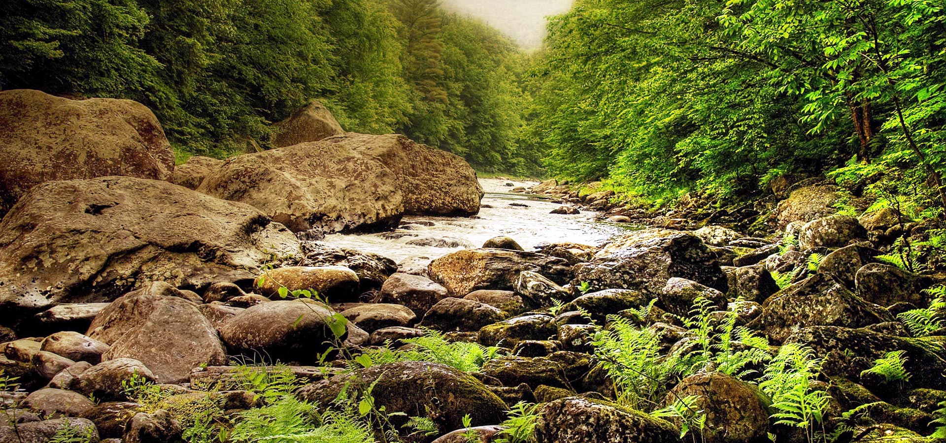 超宽,全景,风景,自然风光,mlgb,儿童桌面专用