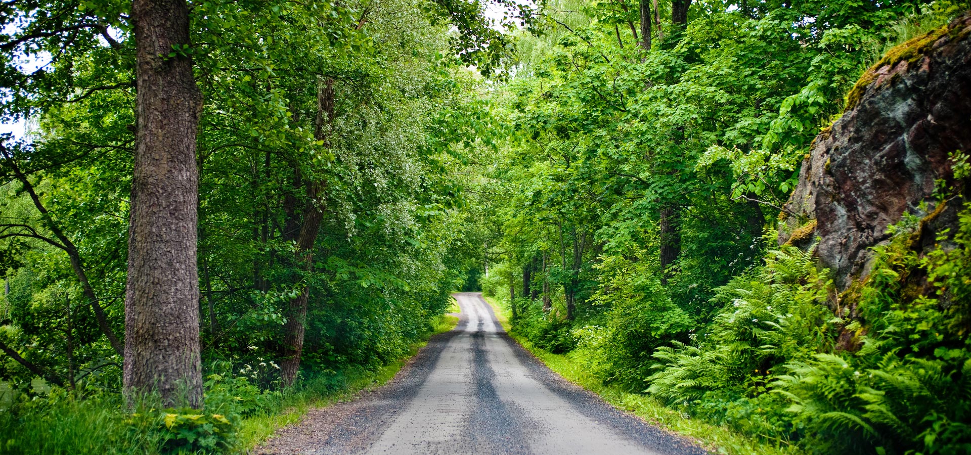 超宽,全景,风景,儿童桌面专用,春意盎然,mlgb