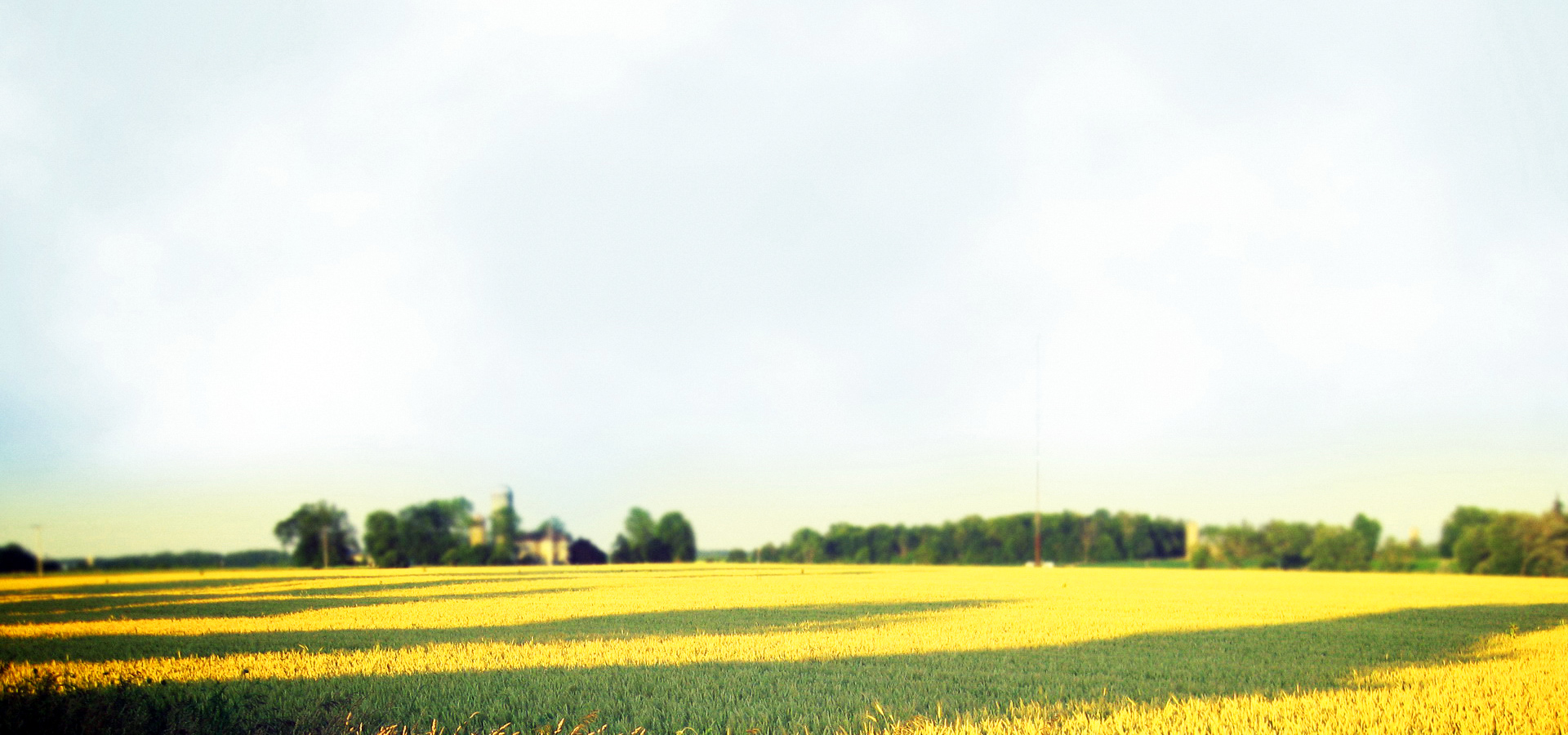 超宽,全景,风景,碧绿草原,mlgb,儿童桌面专用