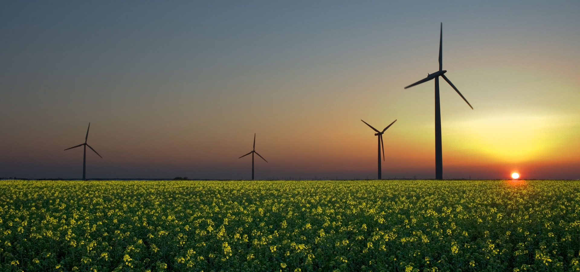 超宽,全景,风景,春意盎然,mlgb,儿童桌面专用