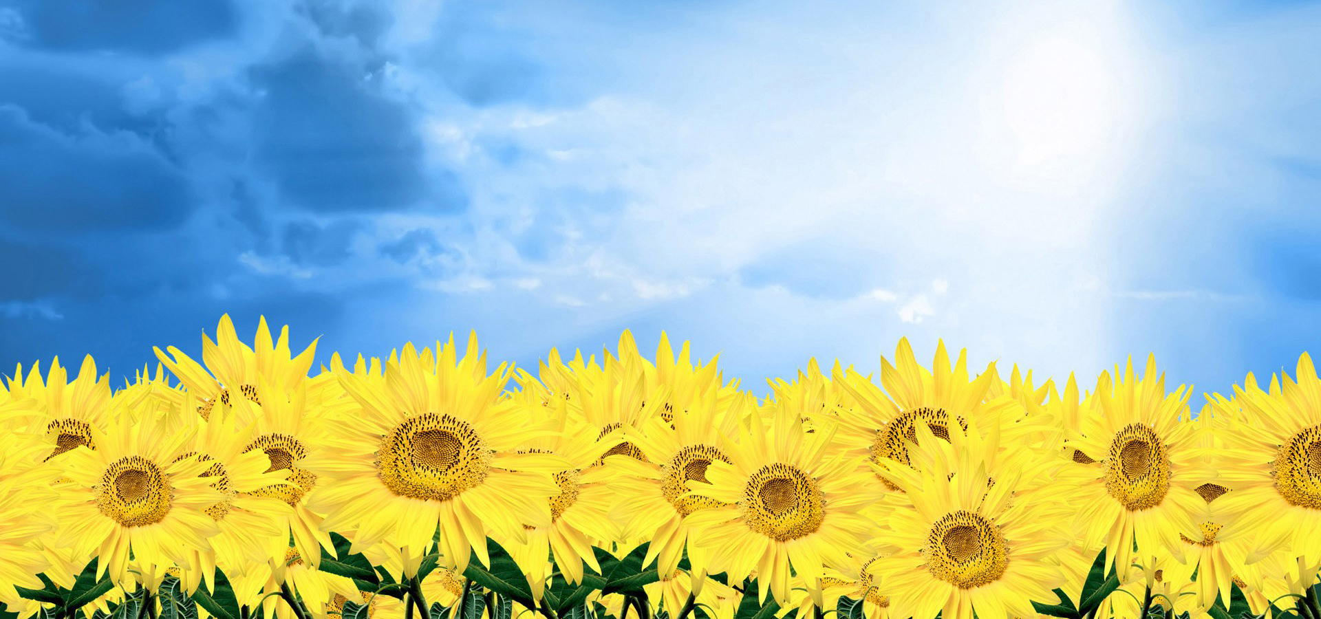 超宽,全景,风景,春意盎然,mlgb,儿童桌面专用