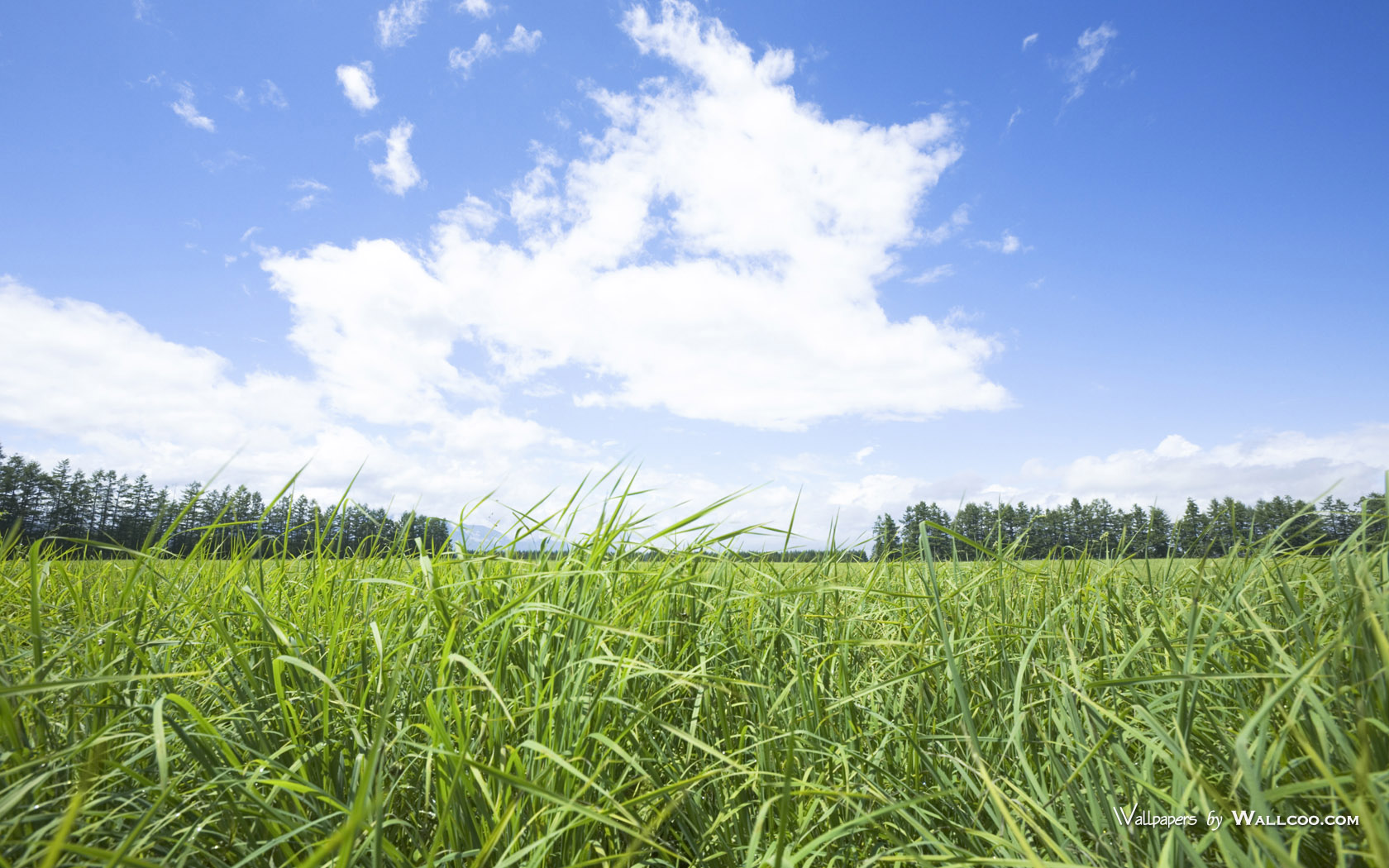 超宽,全景,风景,蓝天白云,mlgb,儿童桌面专用