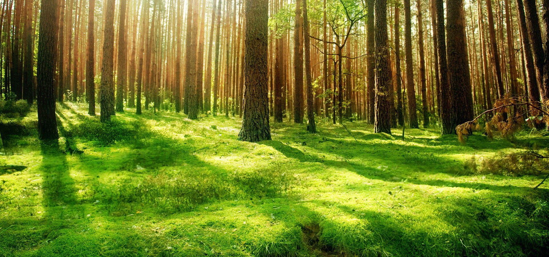 超宽,全景,风景,自然风光,mlgb,儿童桌面专用