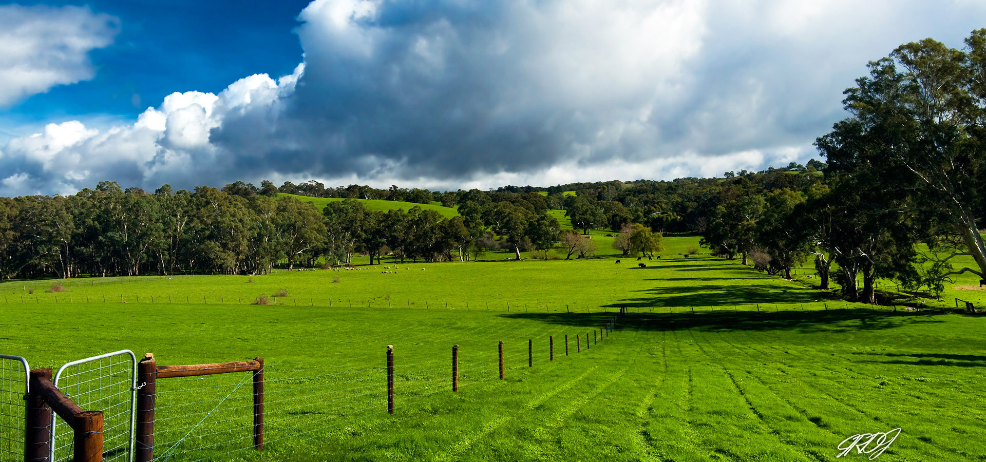超宽,全景,风景,碧绿草原,mlgb,儿童桌面专用
