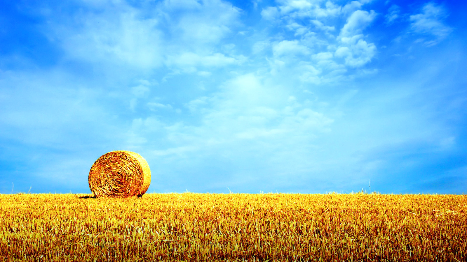 风景,秋意正浓,稻香,草卷,儿童桌面专用