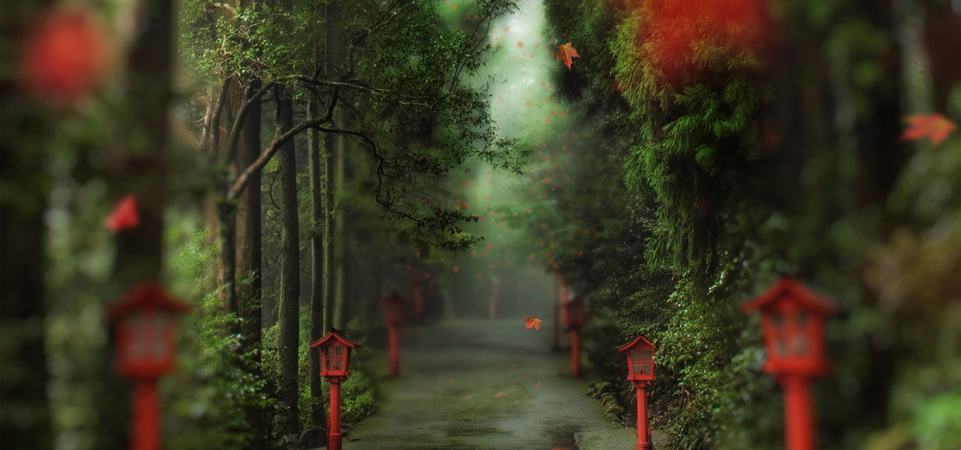 超宽,全景,风景,春意盎然,mlgb,儿童桌面专用