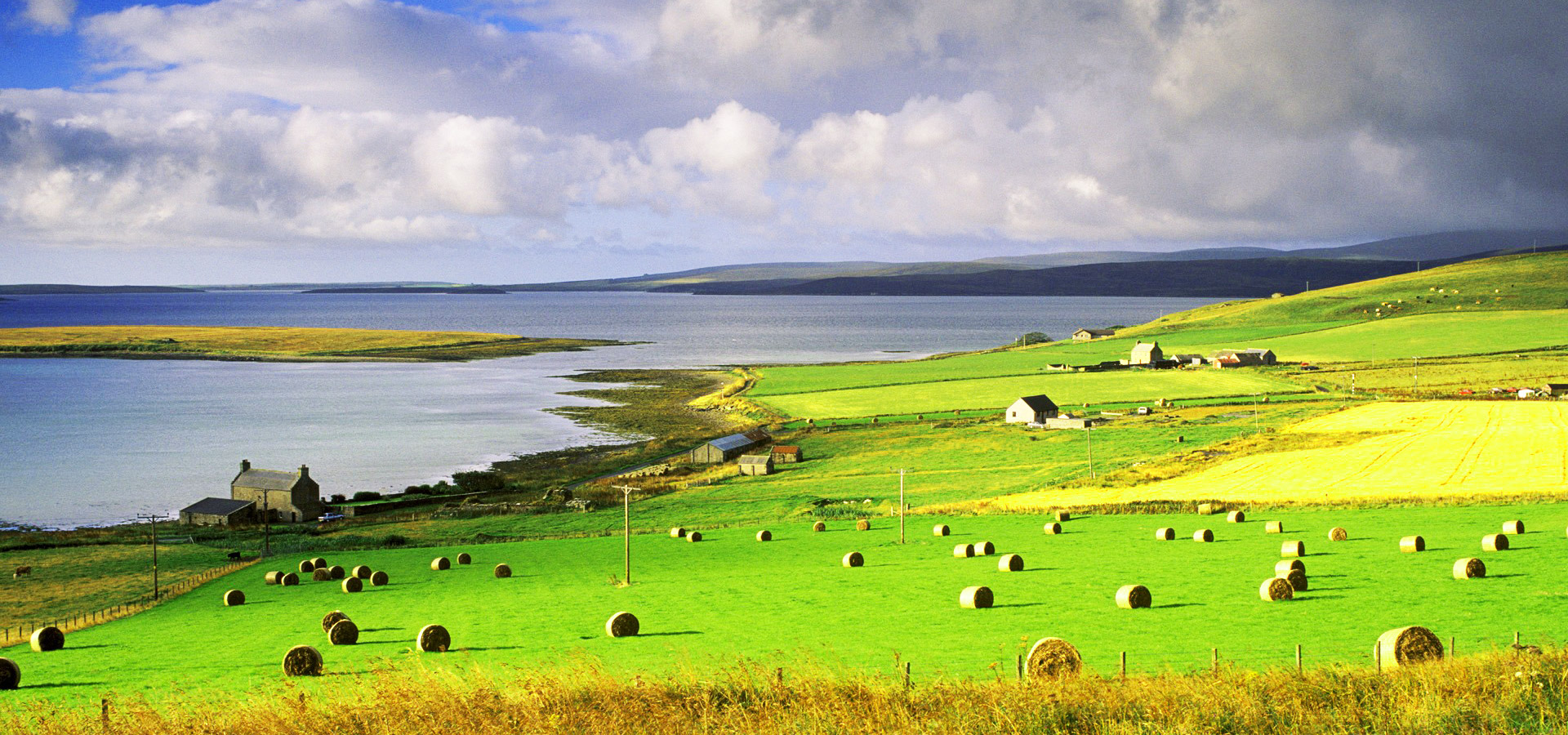 超宽,全景,风景,蓝天白云,碧绿草原,儿童桌面专用,mlgb