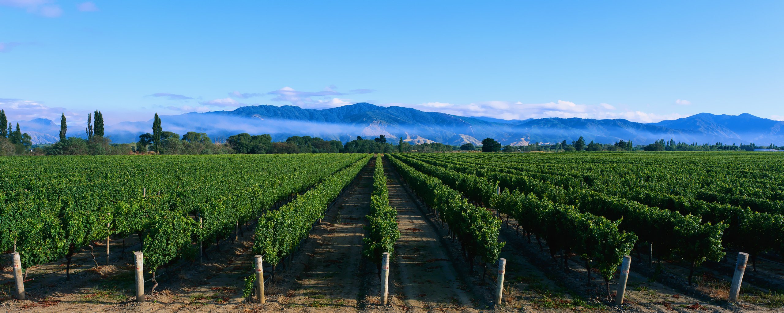超宽,全景,风景,自然风光,mlgb,儿童桌面专用
