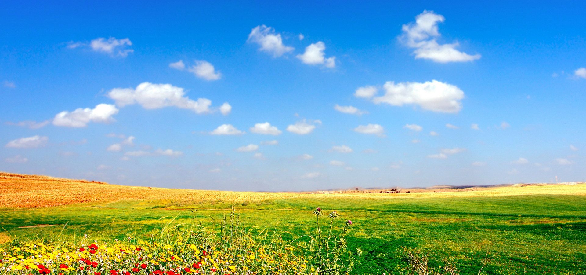 超宽,全景,风景,蓝天白云,春意盎然,儿童桌面专用,mlgb