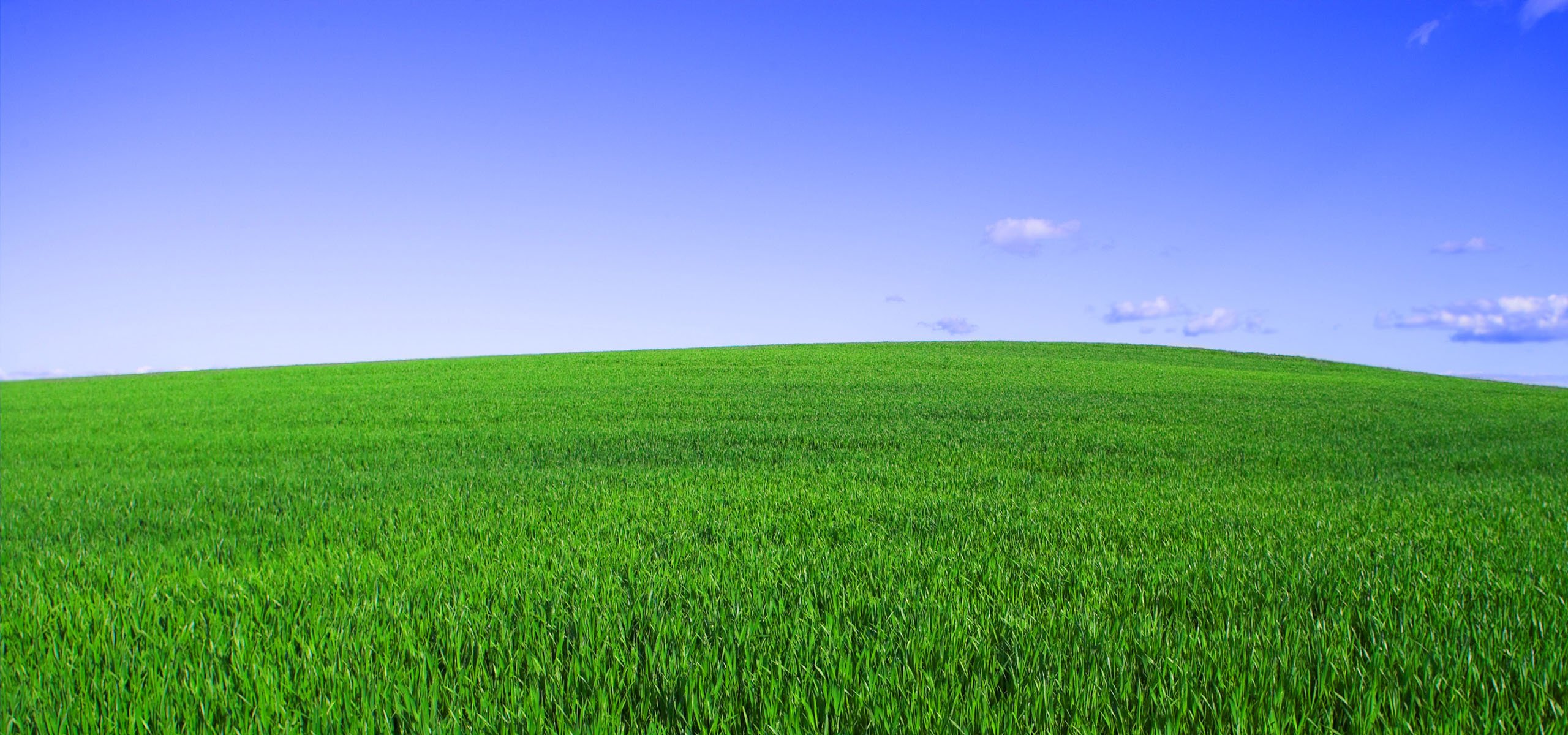 超宽,全景,风景,儿童桌面专用,碧绿草原,mlgb