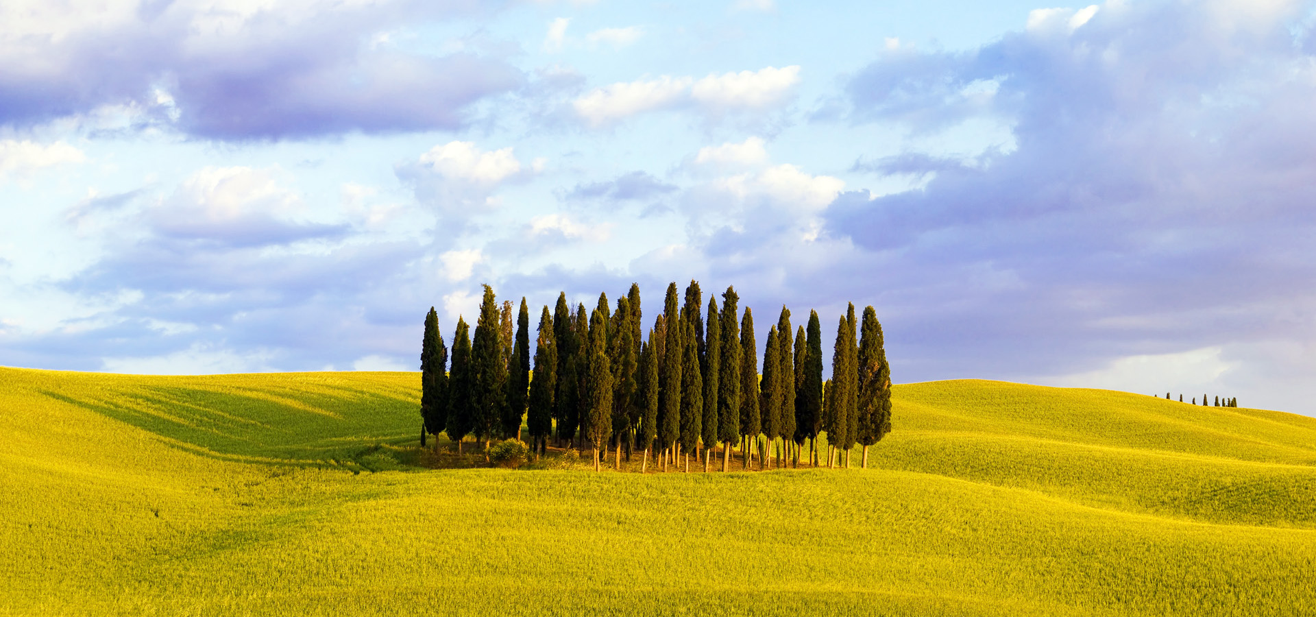 超宽,全景,风景,碧绿草原,蓝天白云,mlgb,儿童桌面专用