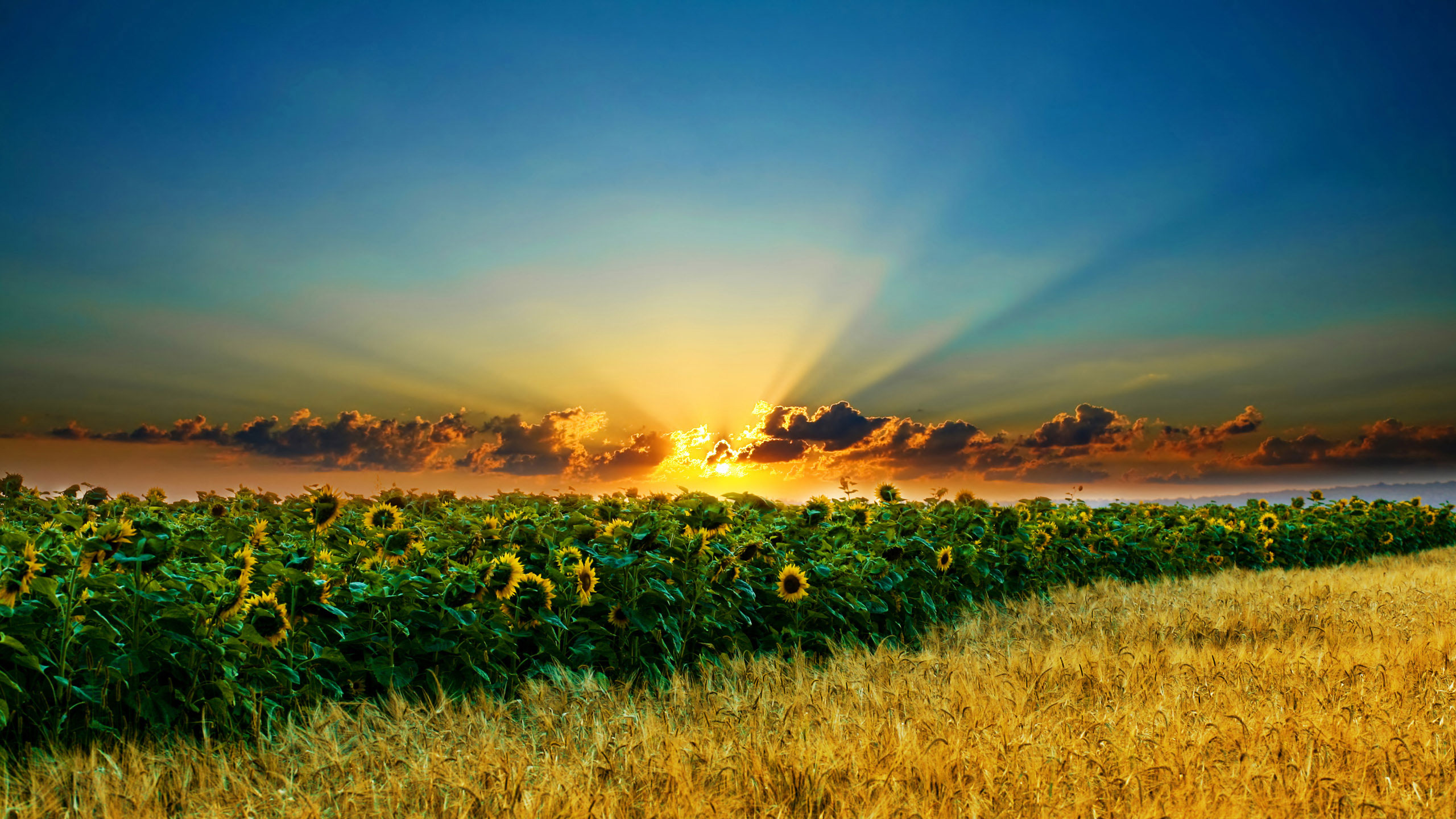 超宽,全景,风景,mlgb,儿童桌面专用