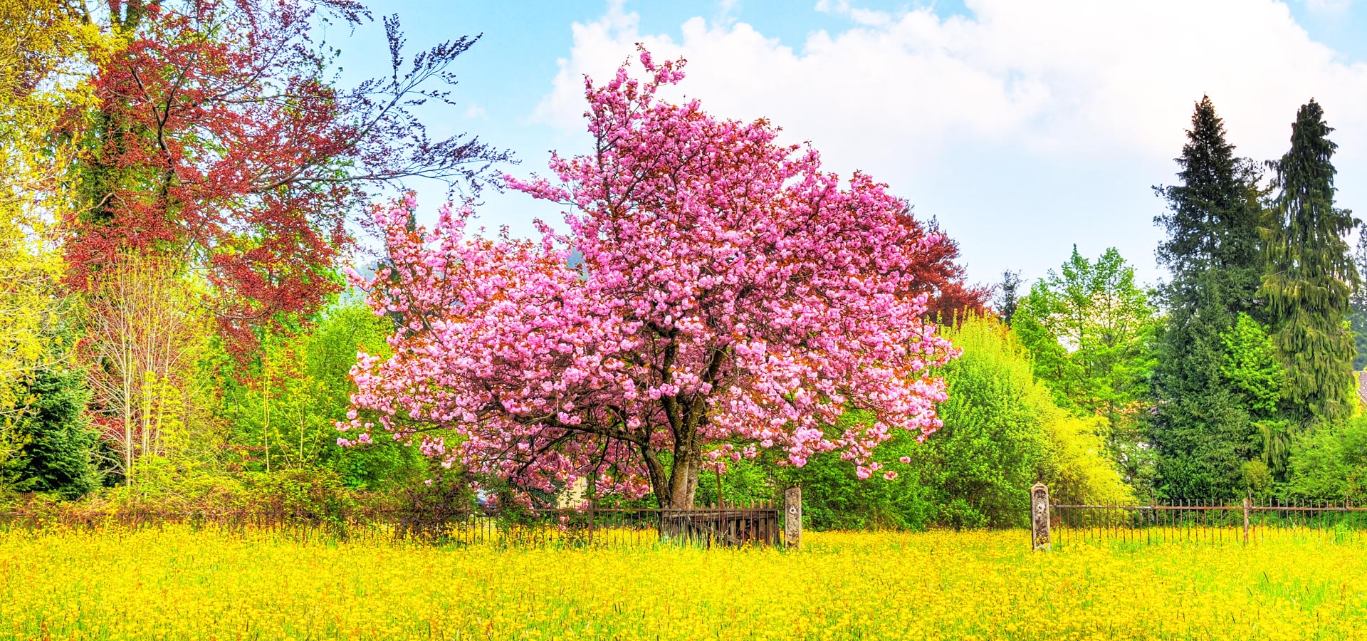 超宽,全景,风景,秋意正浓,mlgb,儿童桌面专用