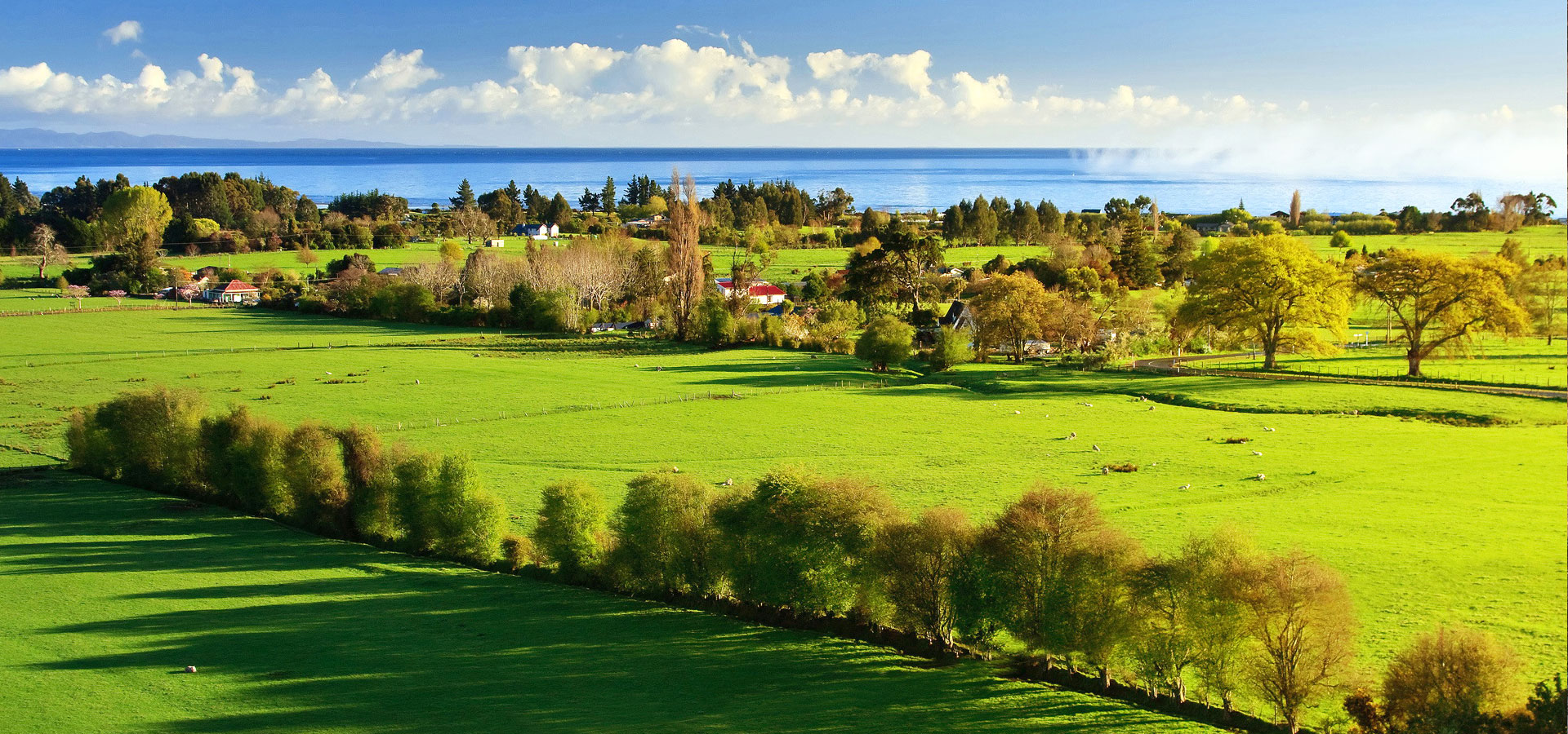 超宽,全景,风景,碧绿草原,mlgb,儿童桌面专用