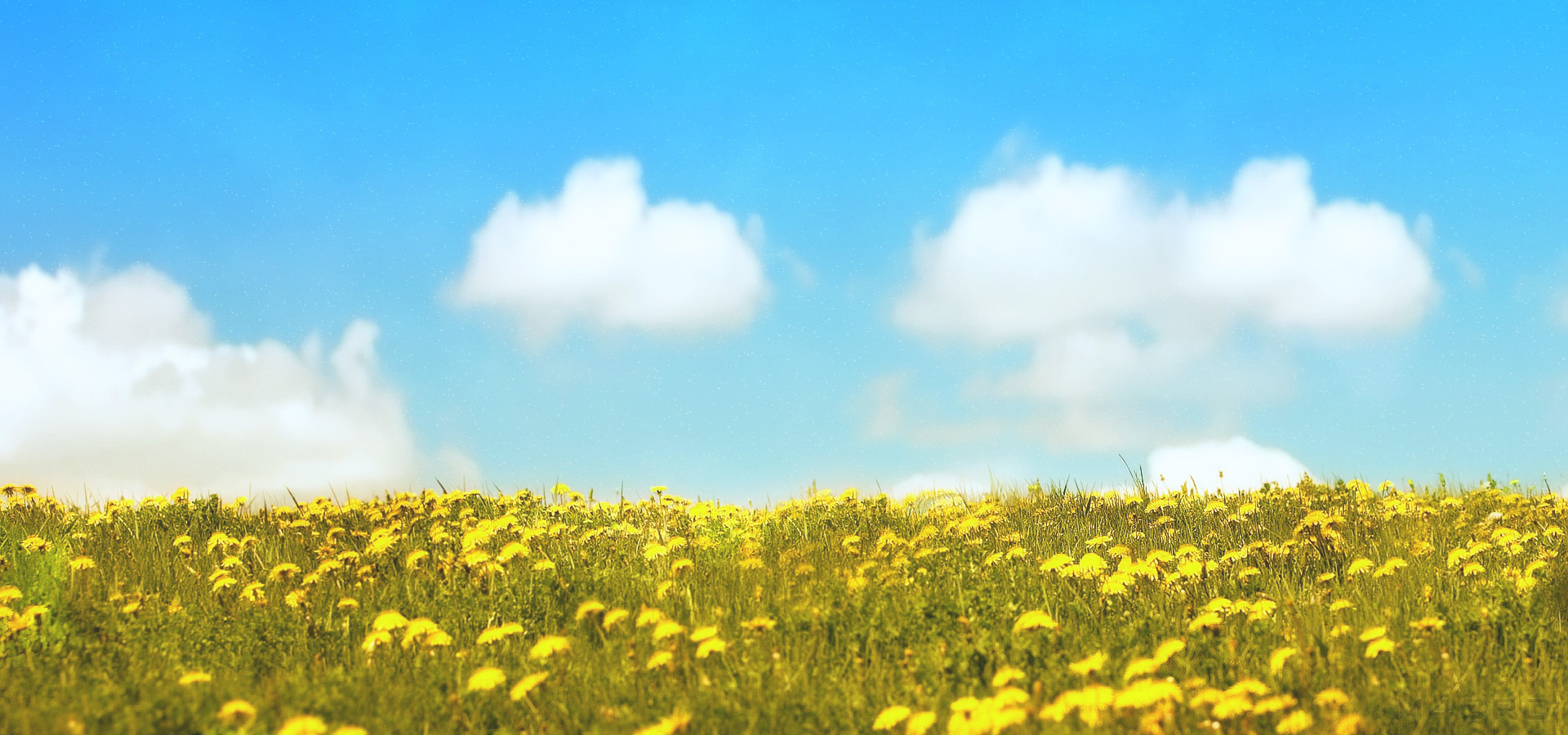 超宽,全景,风景,蓝天白云,春意盎然,mlgb,儿童桌面专用