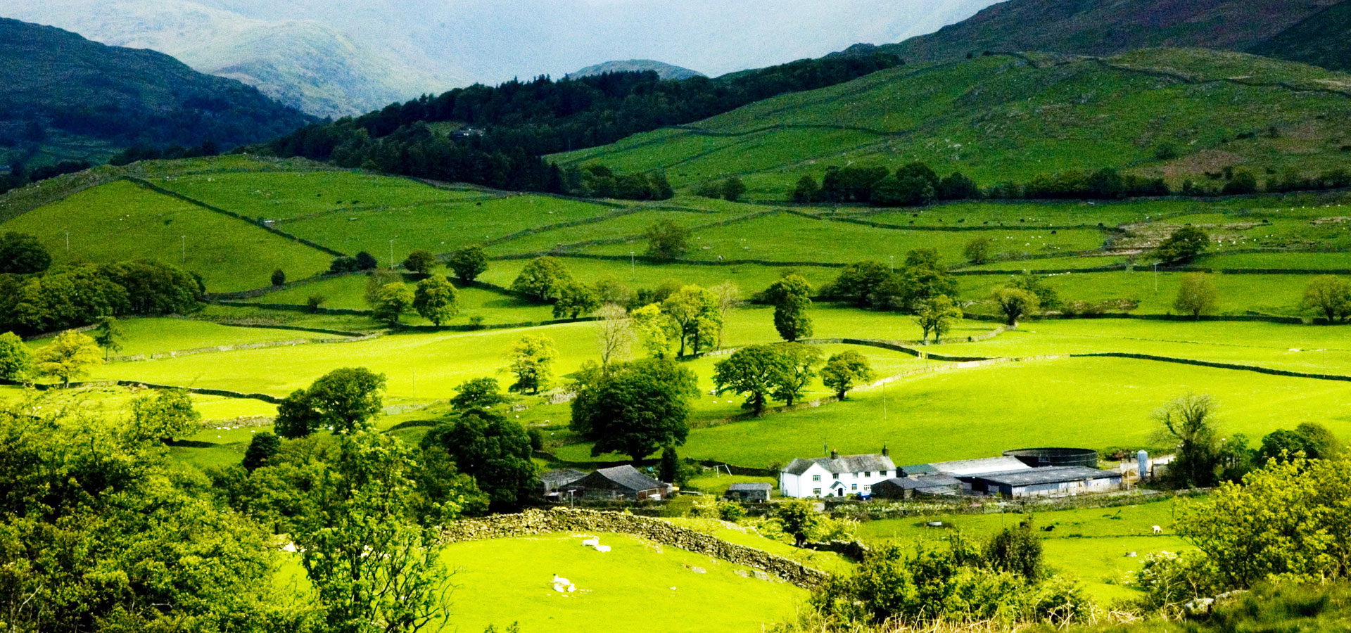 超宽,全景,风景,碧绿草原,mlgb,儿童桌面专用