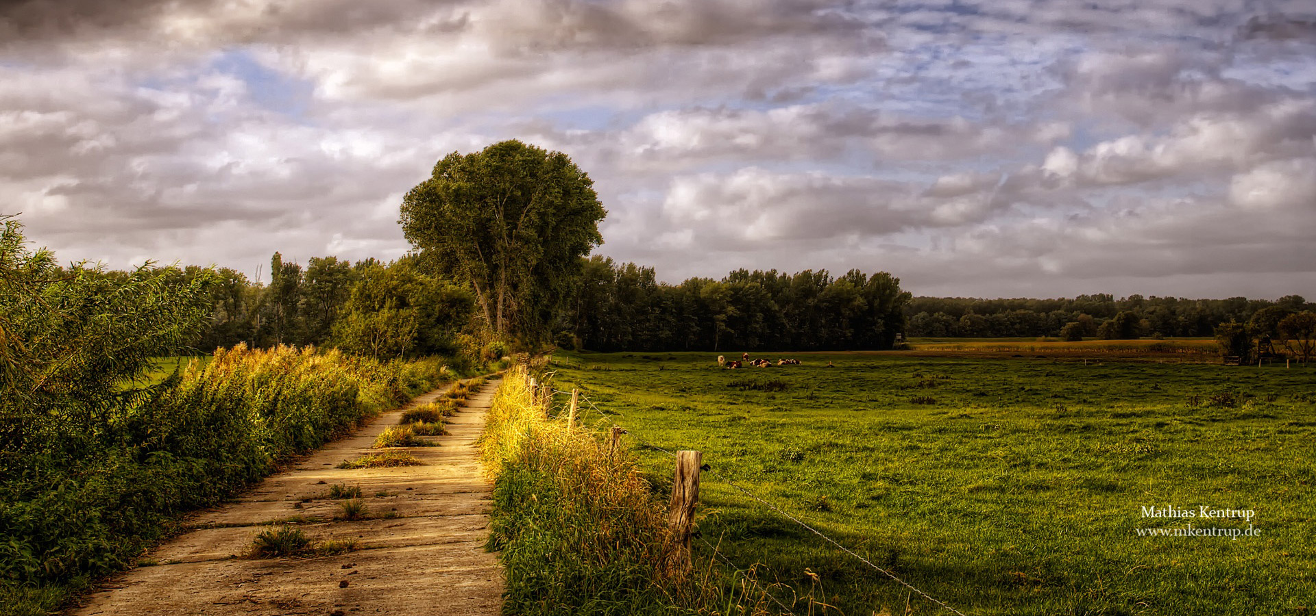 超宽,全景,风景,碧绿草原,mlgb,儿童桌面专用