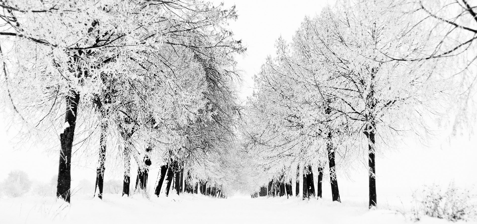 超宽,全景,风景,冰天雪地,mlgb,儿童桌面专用