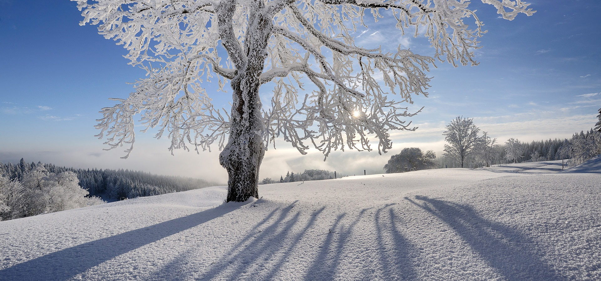 超宽,全景,风景,儿童桌面专用,冰天雪地,mlgb