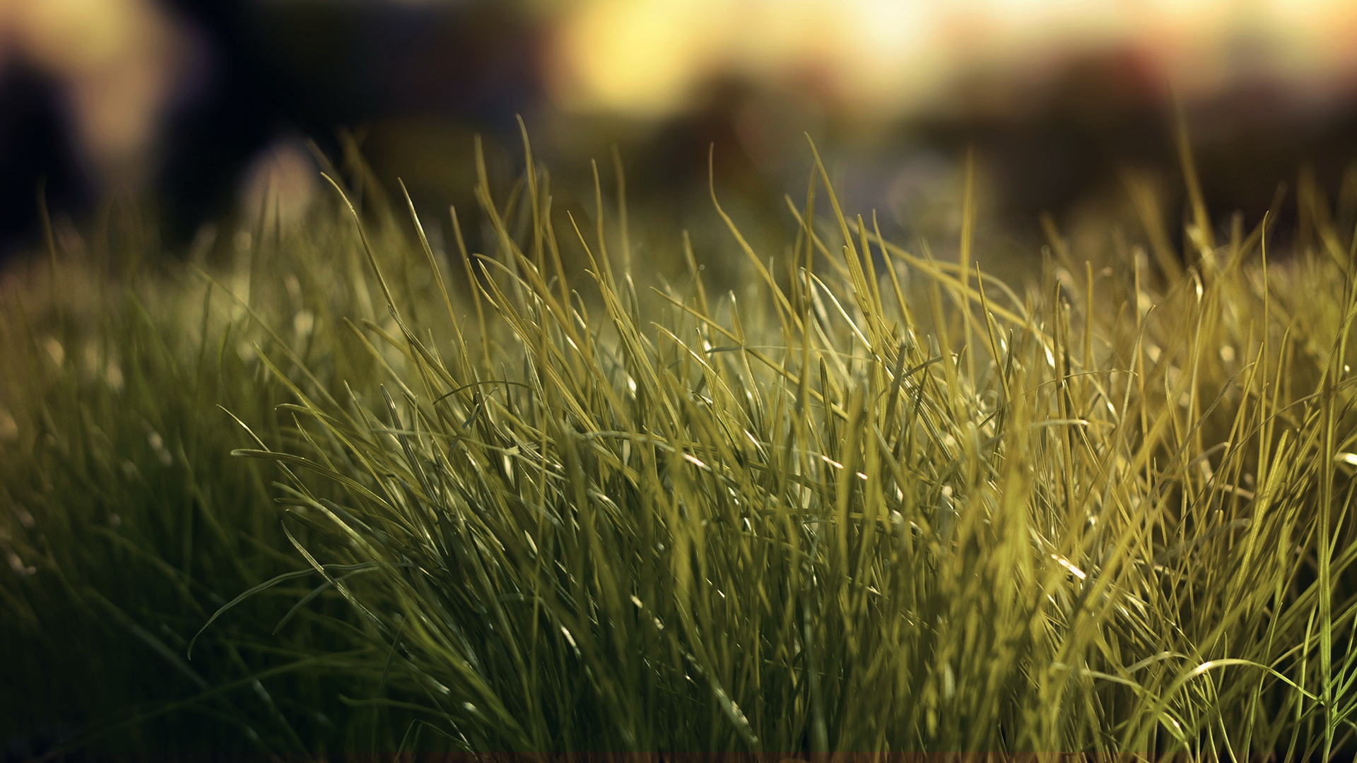 小清新,护眼壁纸,九月二十九日,儿童桌面专用