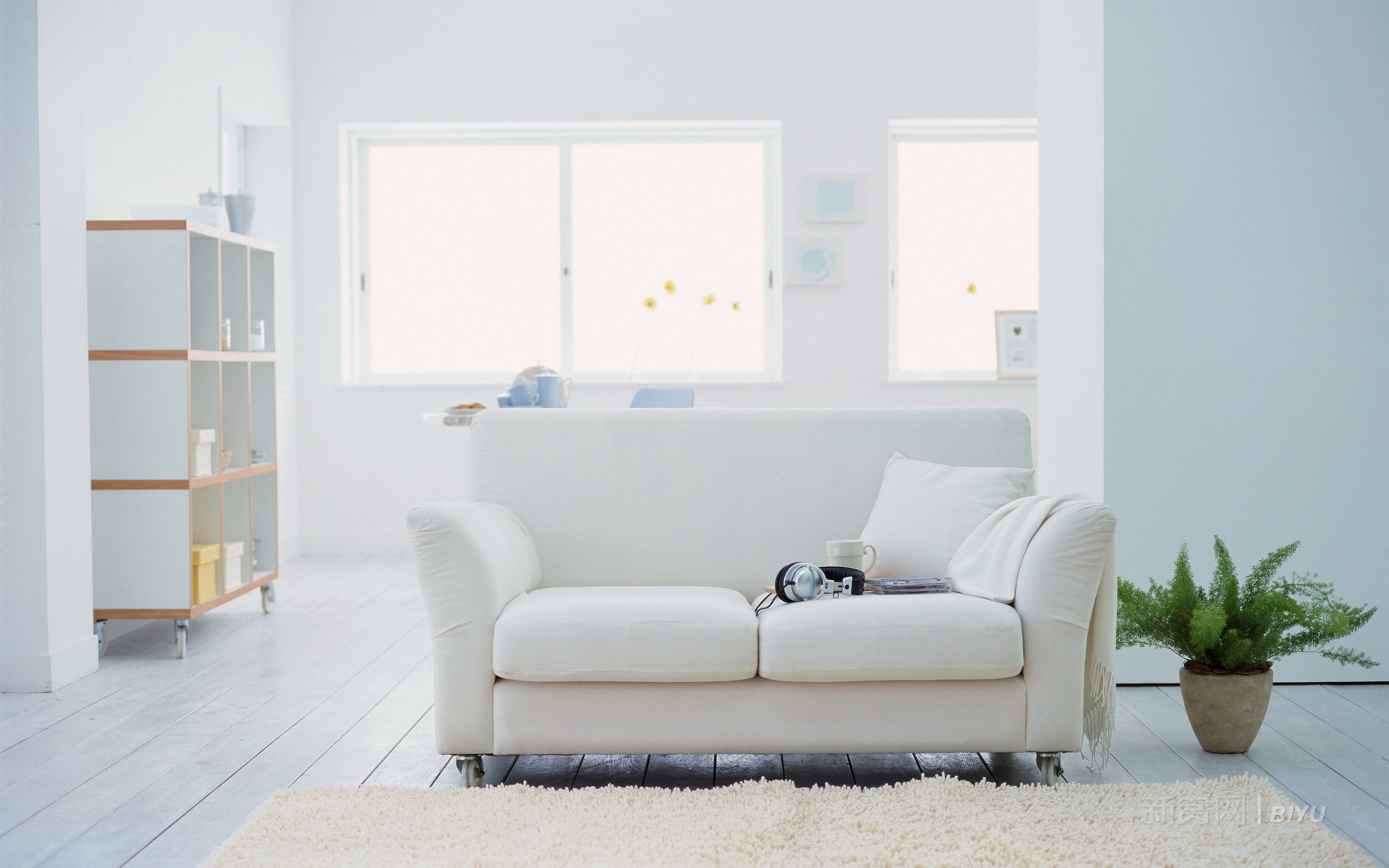 新窝家居,九月二十五日,房子