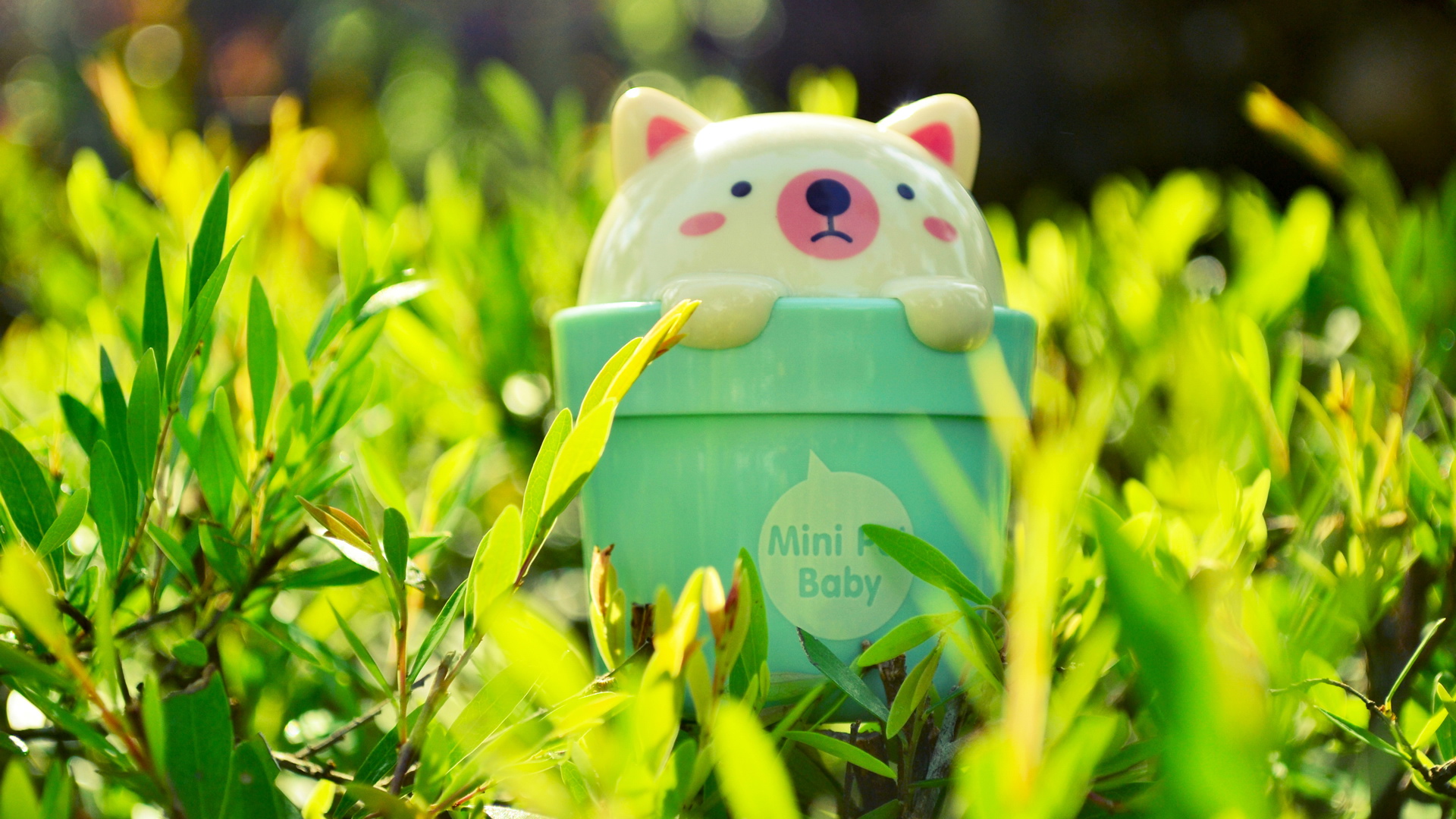 小清新,护眼壁纸,九月二十九日,儿童桌面专用