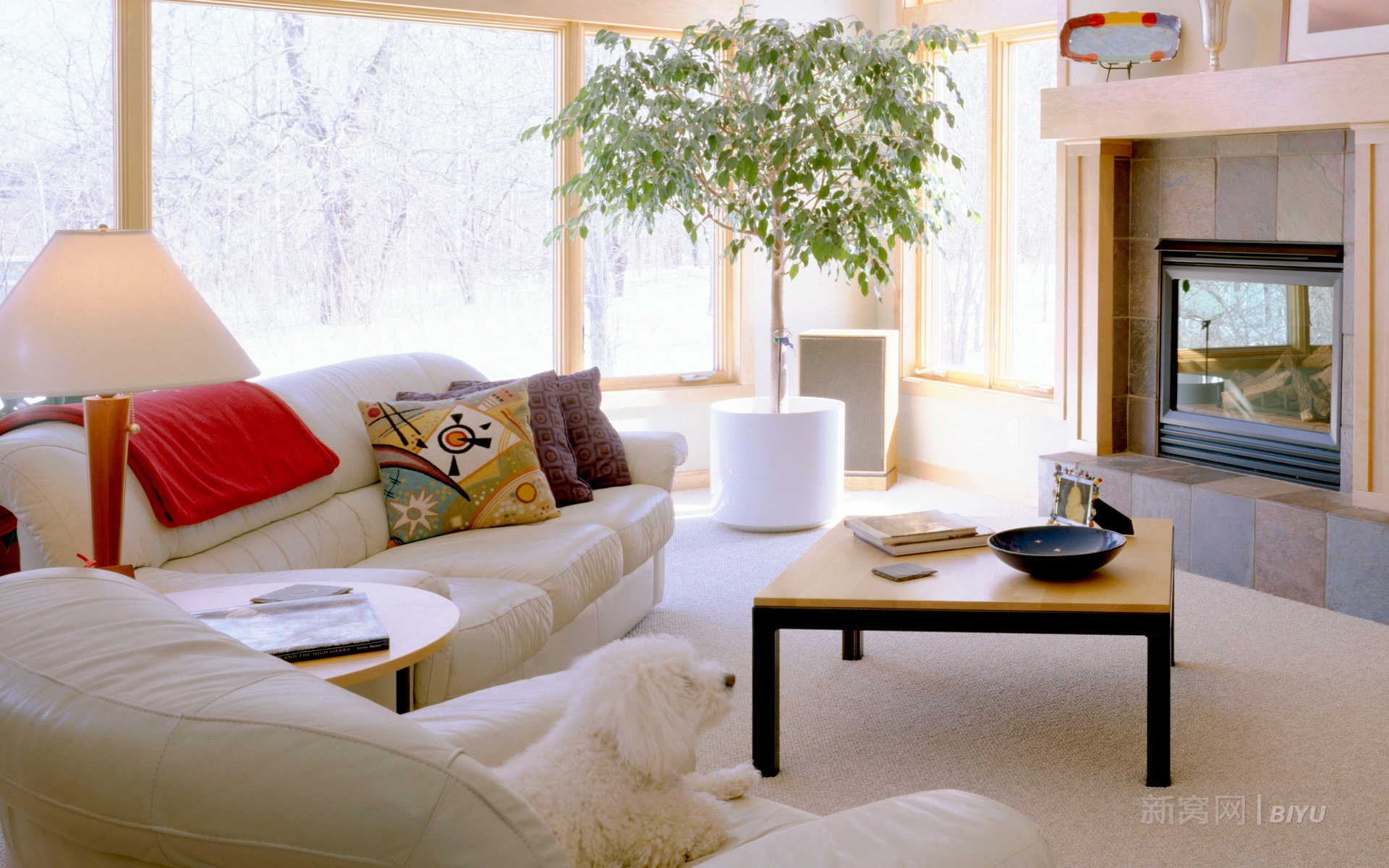 新窝家居,九月二十五日,房子