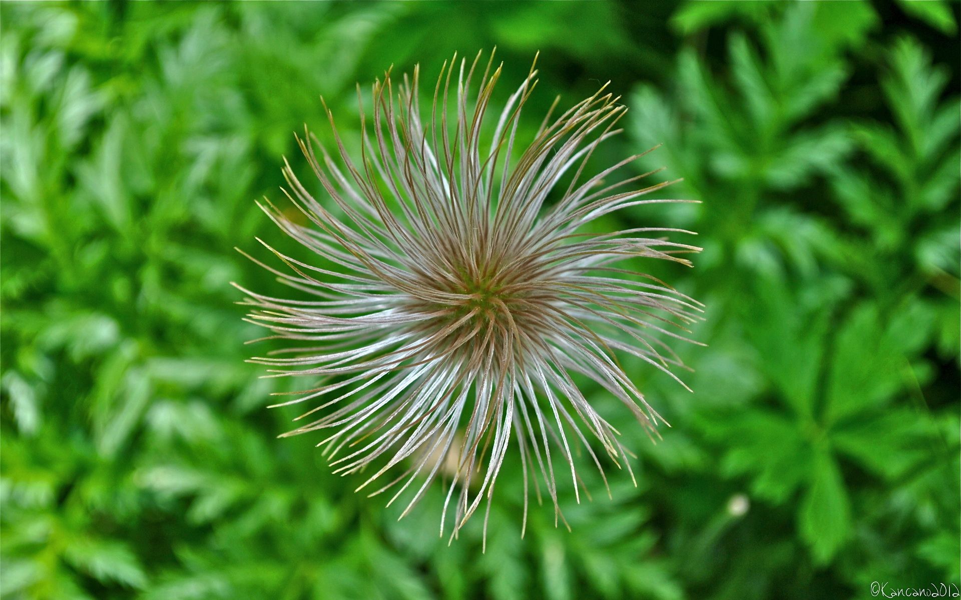 小清新,护眼壁纸,十月二十九日,儿童桌面专用