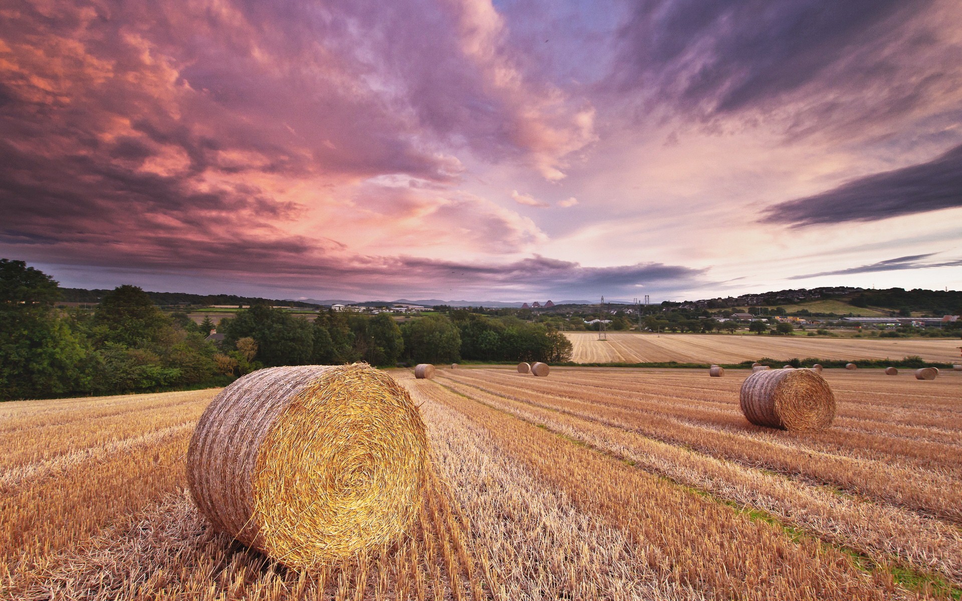 风景,秋意正浓,十月二日,稻香,草卷,儿童桌面专用