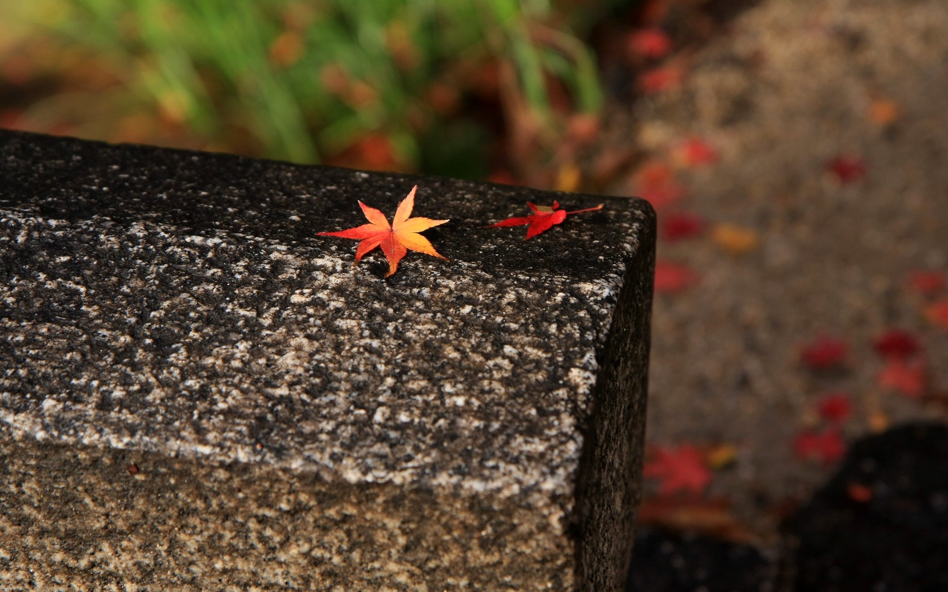 风景,秋意正浓,2012Y十一月05D,儿童桌面专用