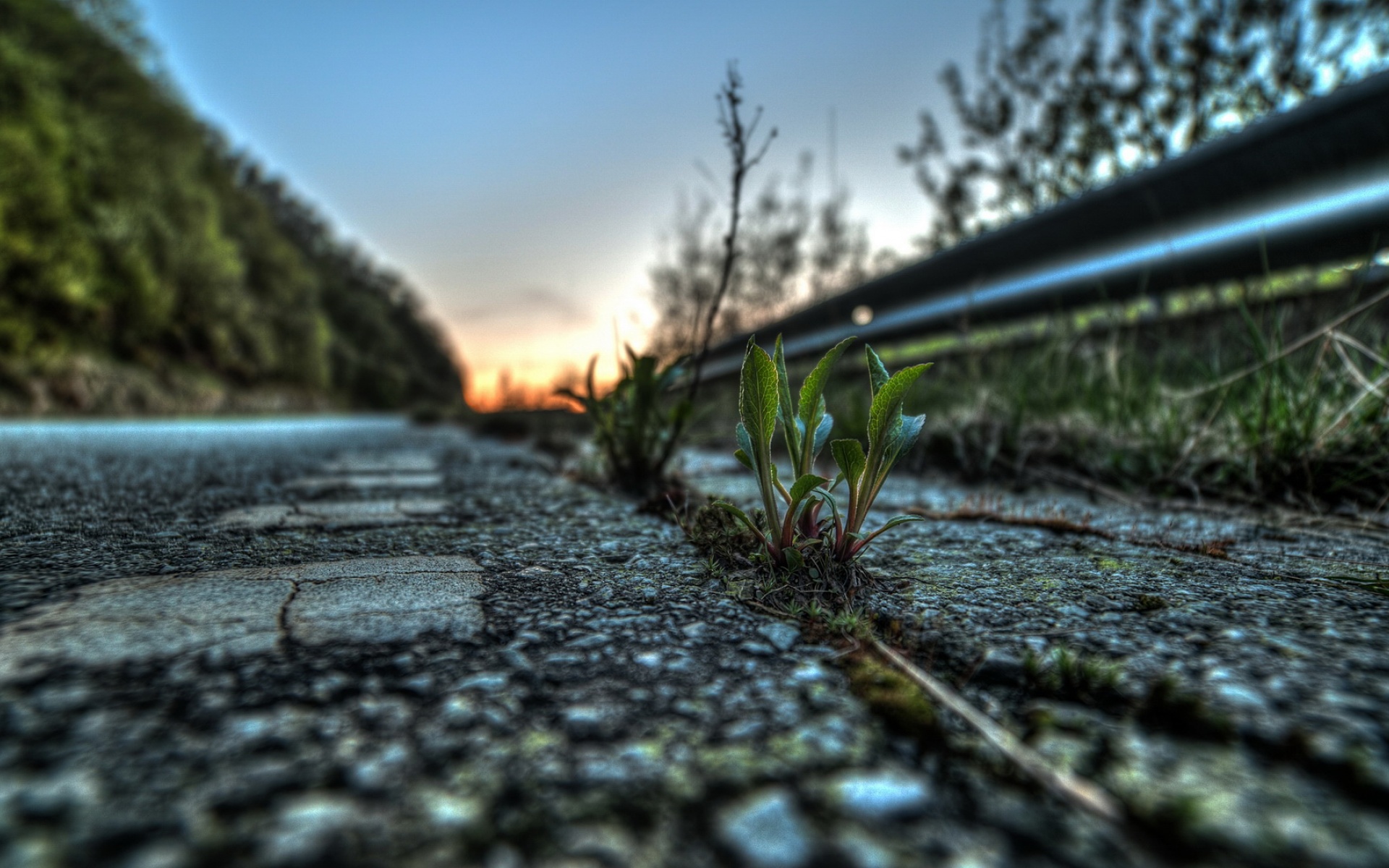 风景,落日余晖,2012Y十月24D,儿童桌面专用