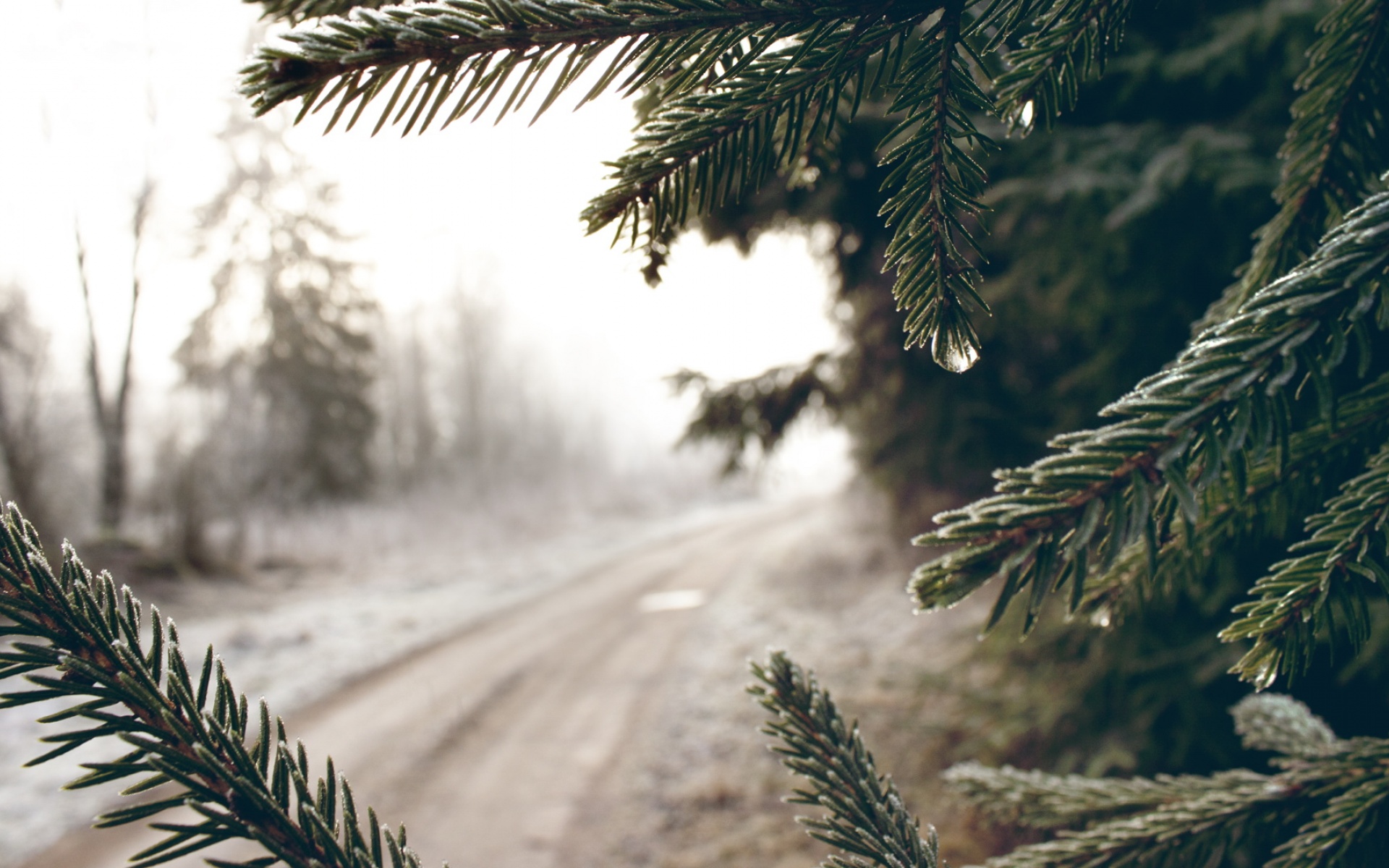 风景,冰天雪地,2012Y十月28D,儿童桌面专用