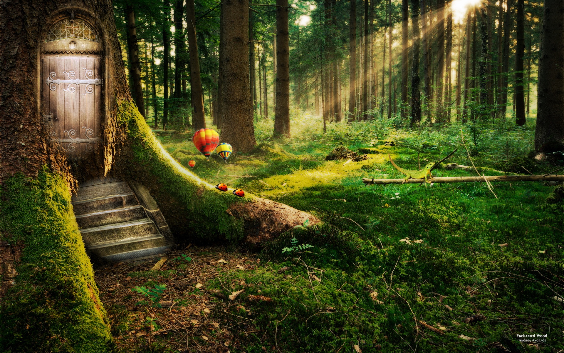 萌宠,瓢虫,2012Y十月27D,儿童桌面专用