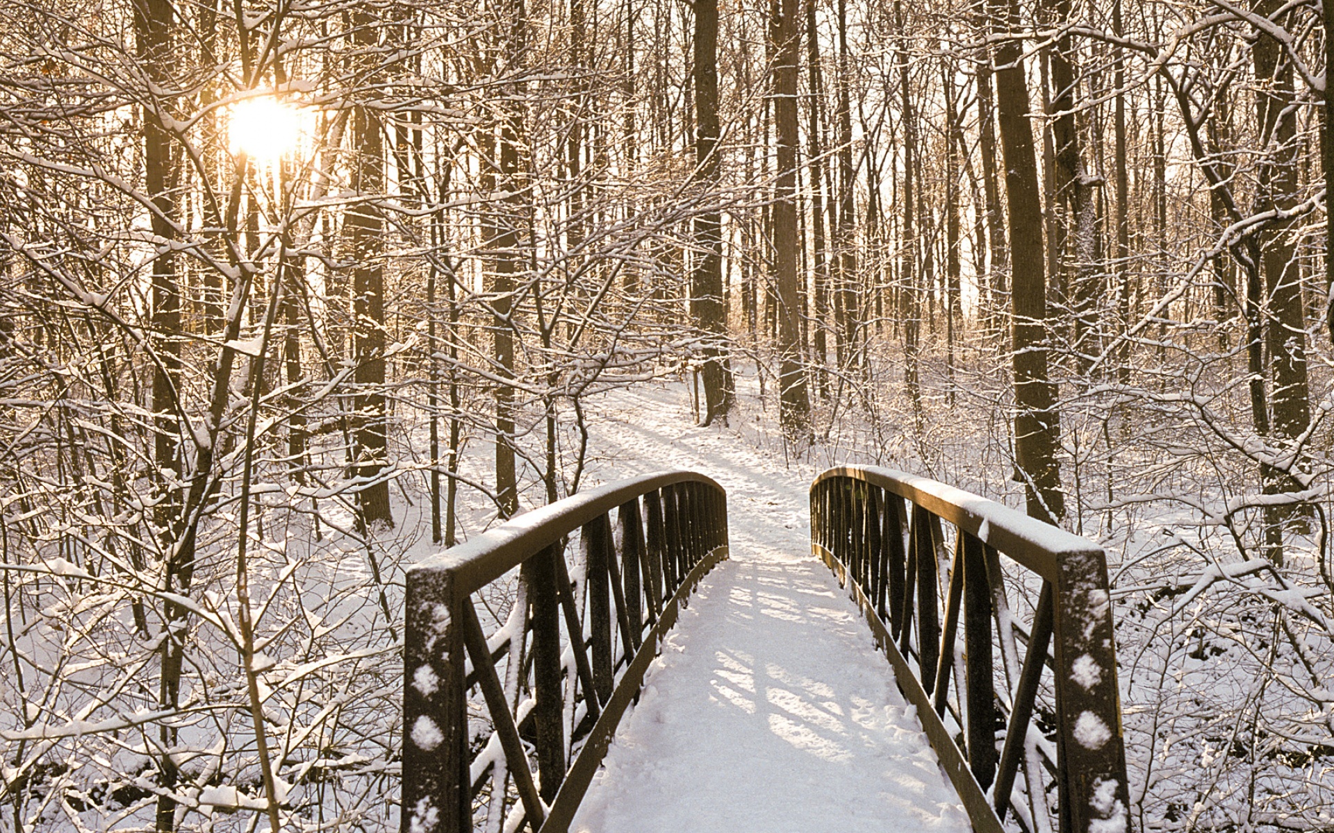风景,落日余晖,2012Y十月27D,儿童桌面专用