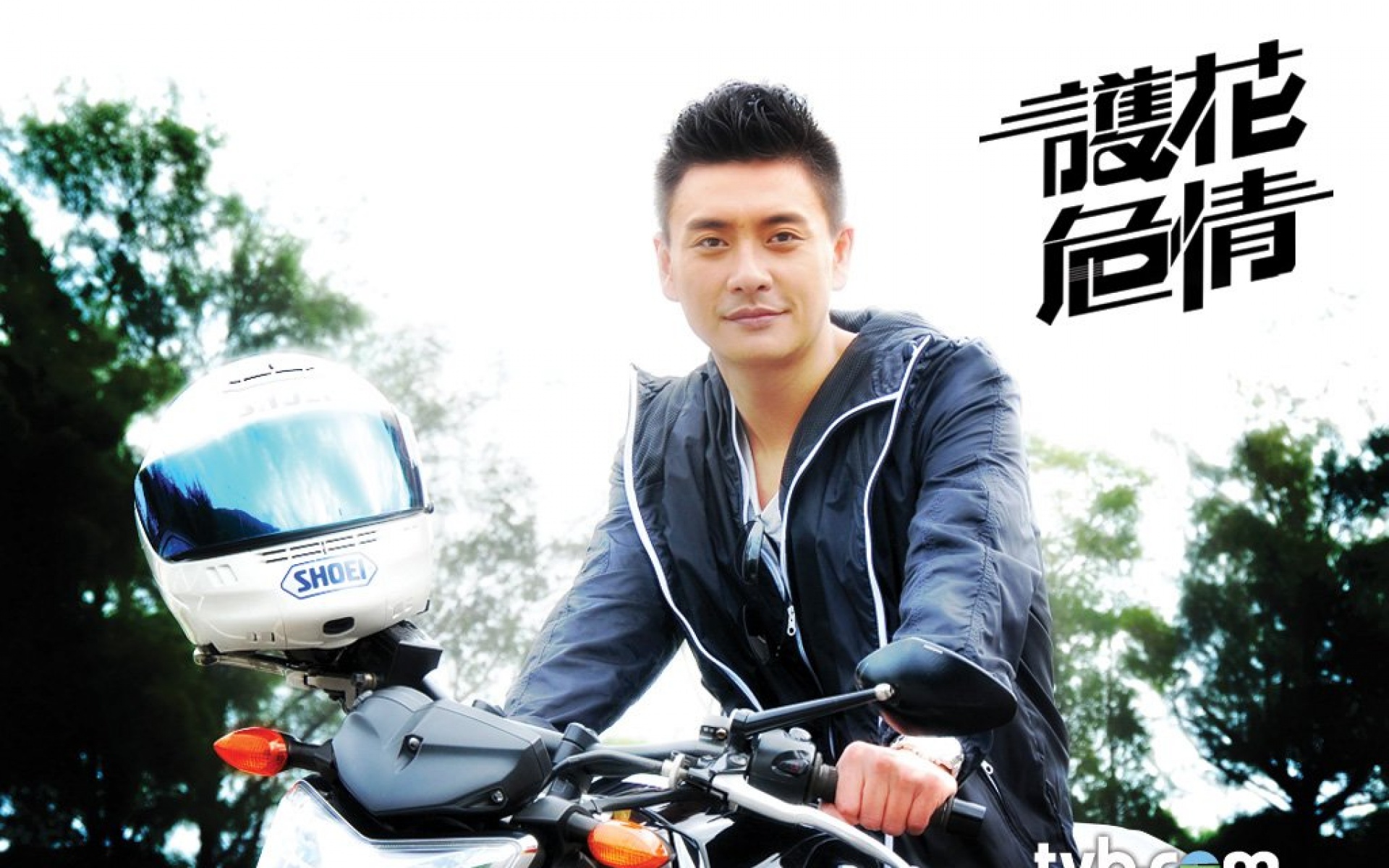 护花危情,影视,电视剧,TVB,2012Y十月27D,热门剧集