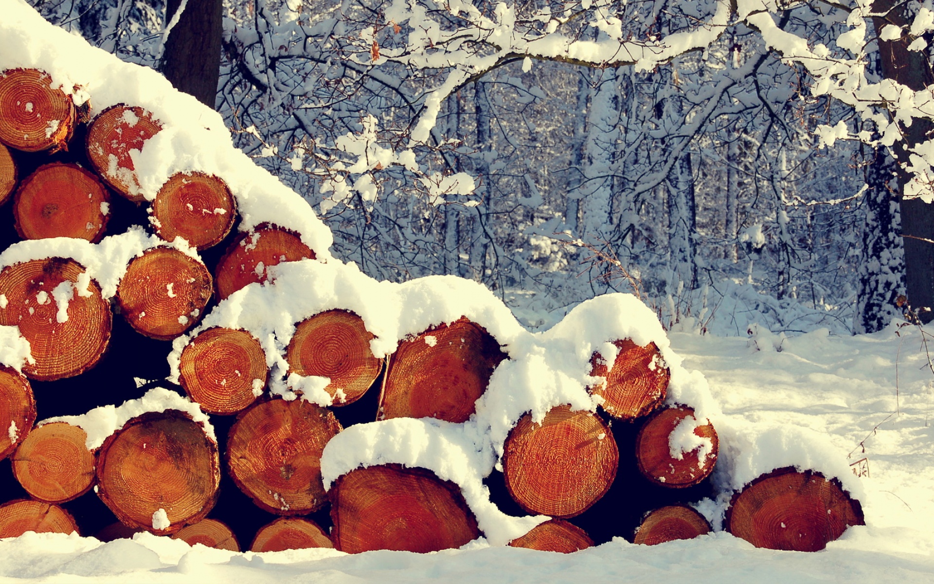 风景,冰天雪地,2012Y十月29D,儿童桌面专用