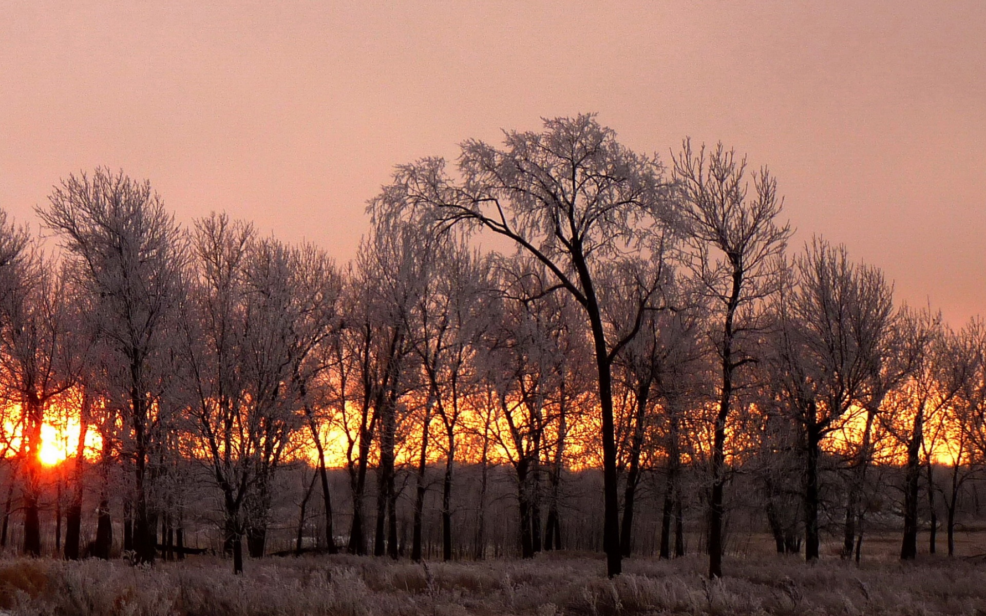 风景,落日余晖,2012Y十月26D,儿童桌面专用