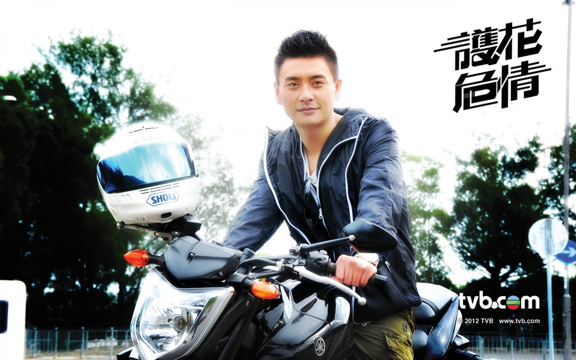 护花危情,影视,电视剧,TVB,2012Y十月27D